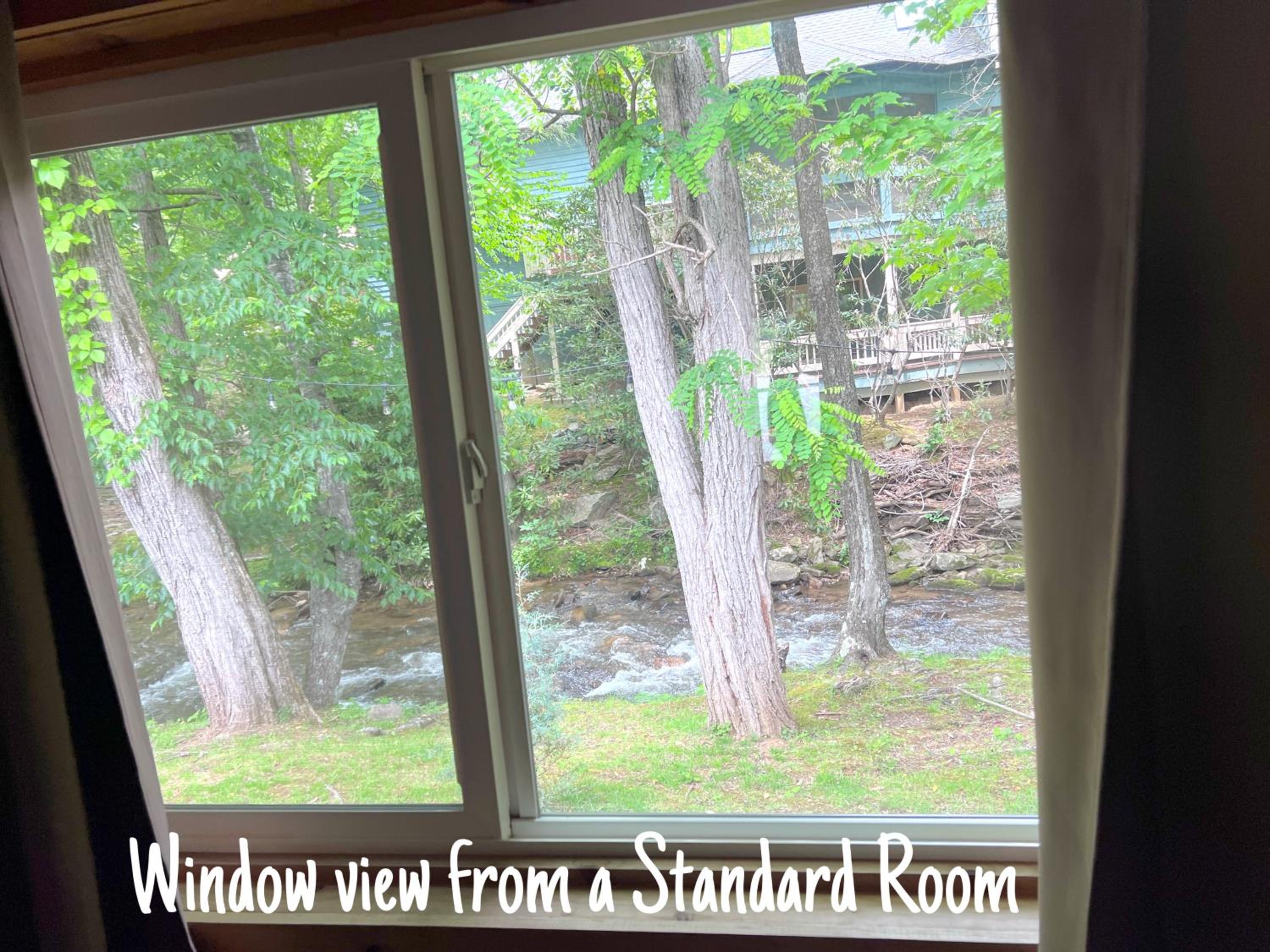 Standard King Room - Photo 2