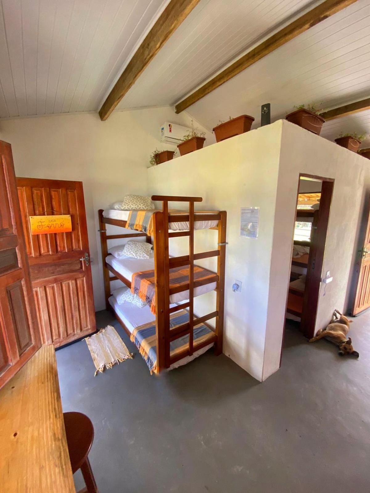 Bunk Bed in Mixed Dormitory Room photo 1