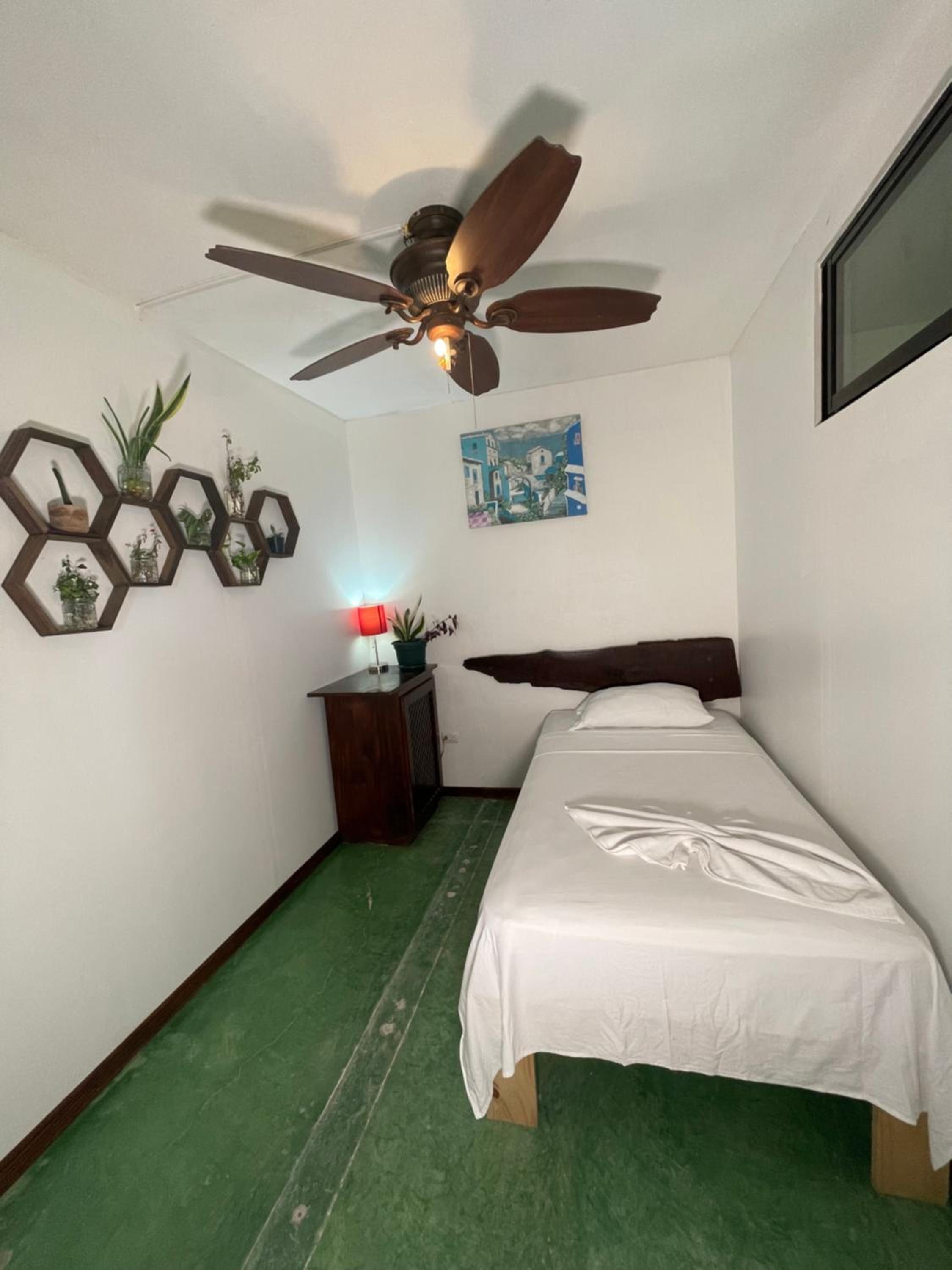 Budget Single Room