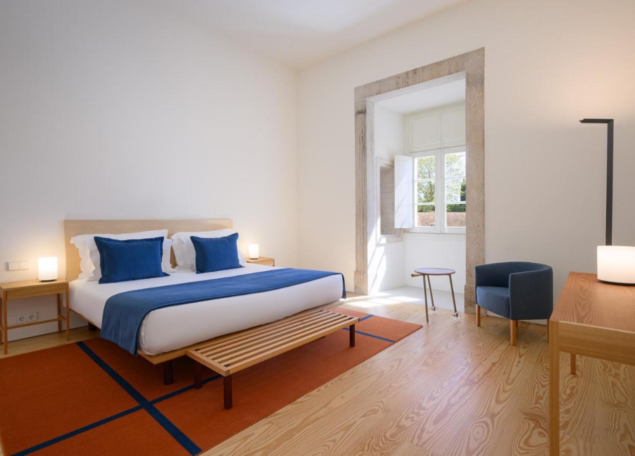 Suite - Photo 1