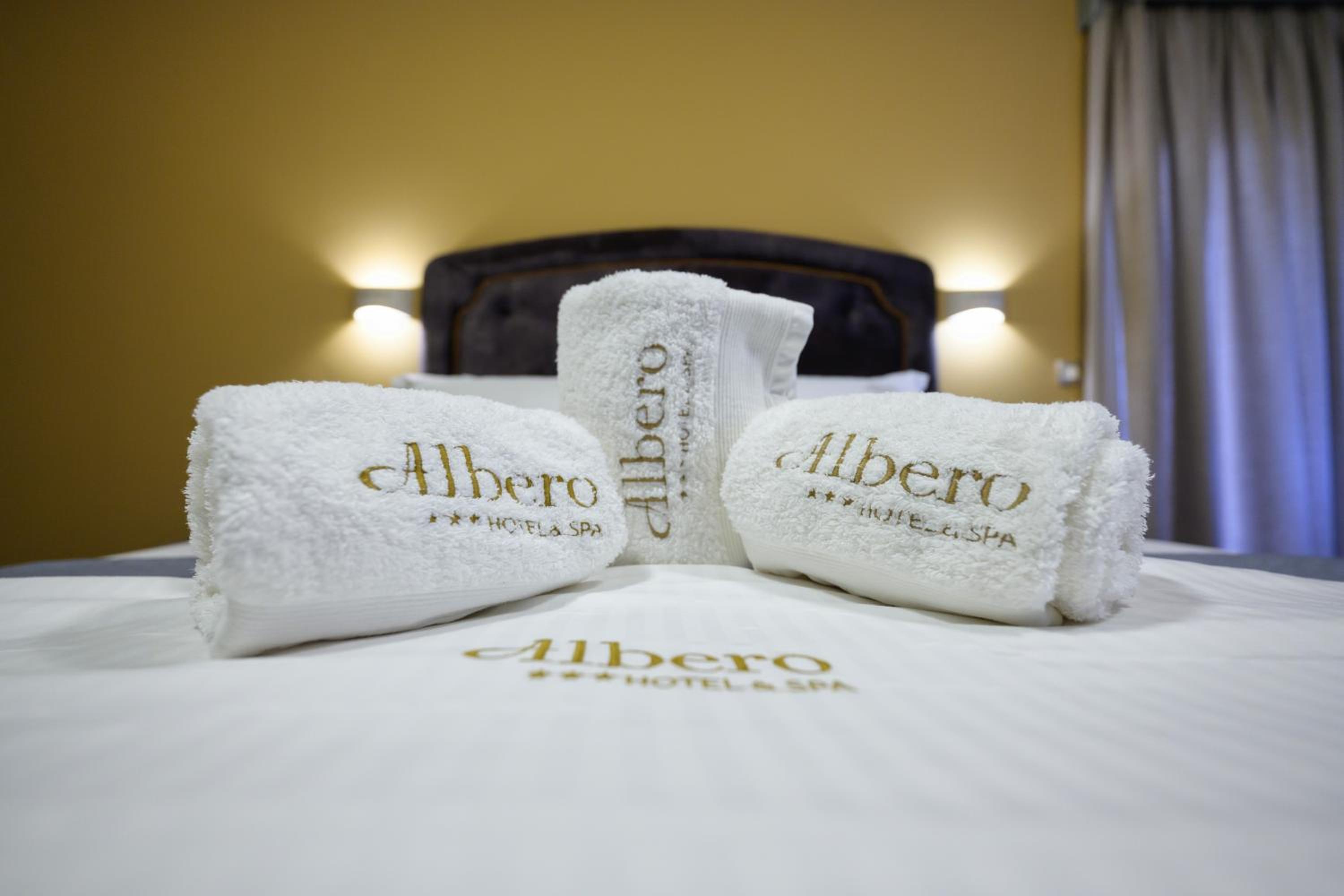Superior Single Room photo 2