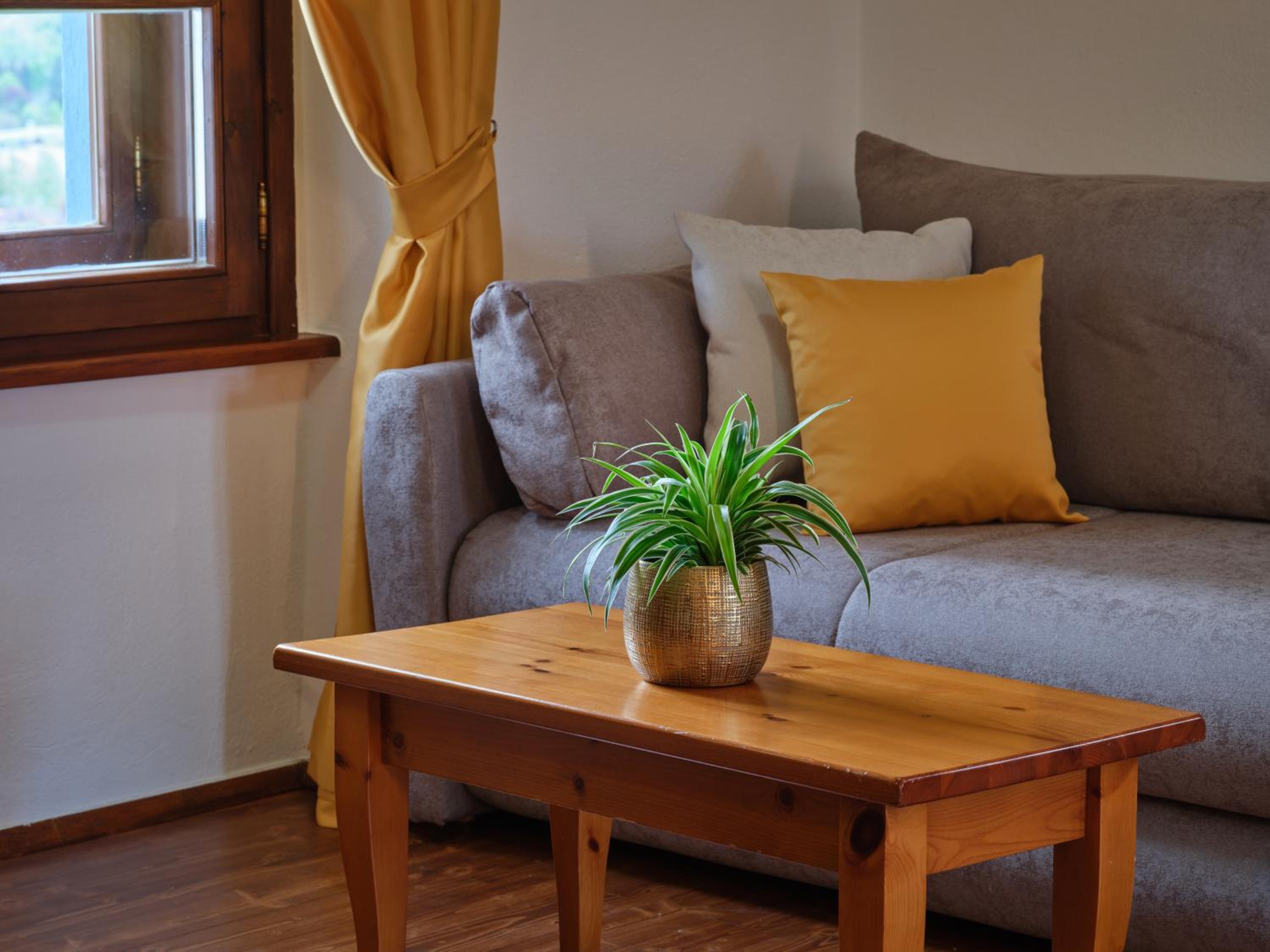 Apartment Trta - Photo 11
