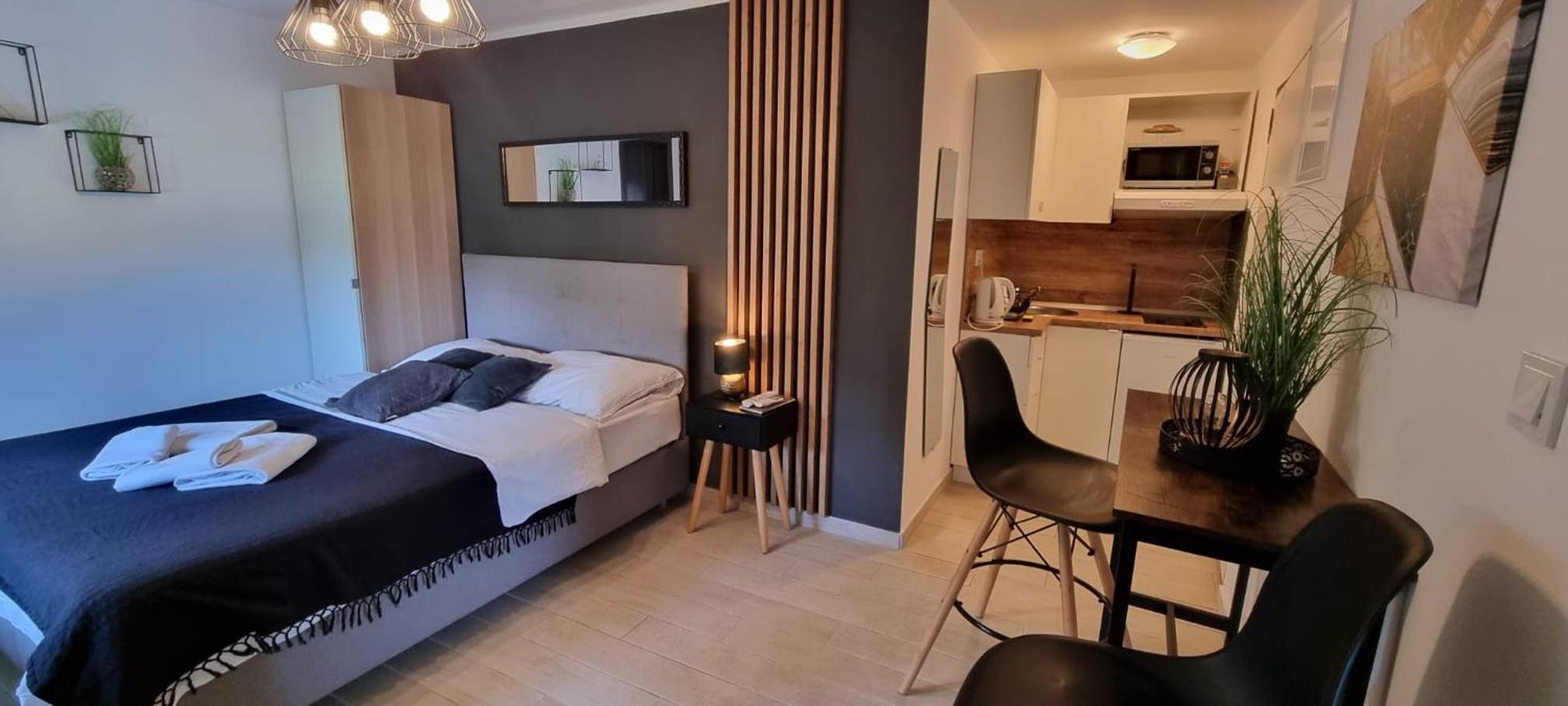 Studio Apartment photo 1