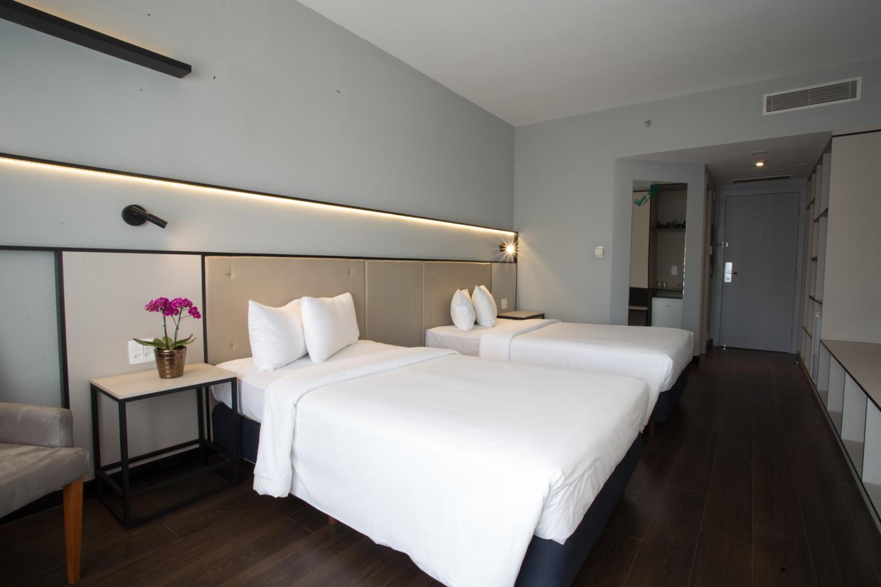 Deluxe Twin Room photo 3