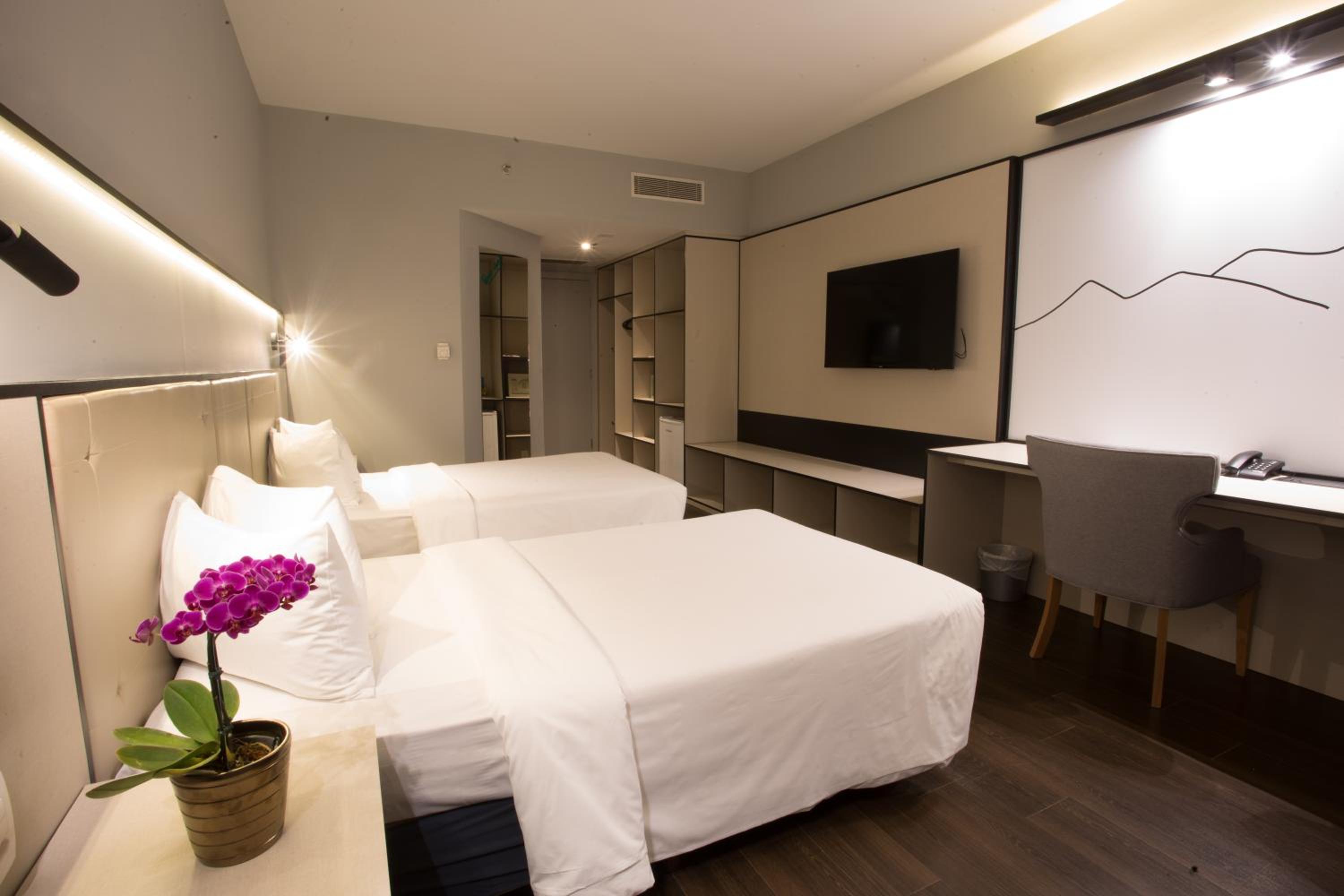 Superior Suite