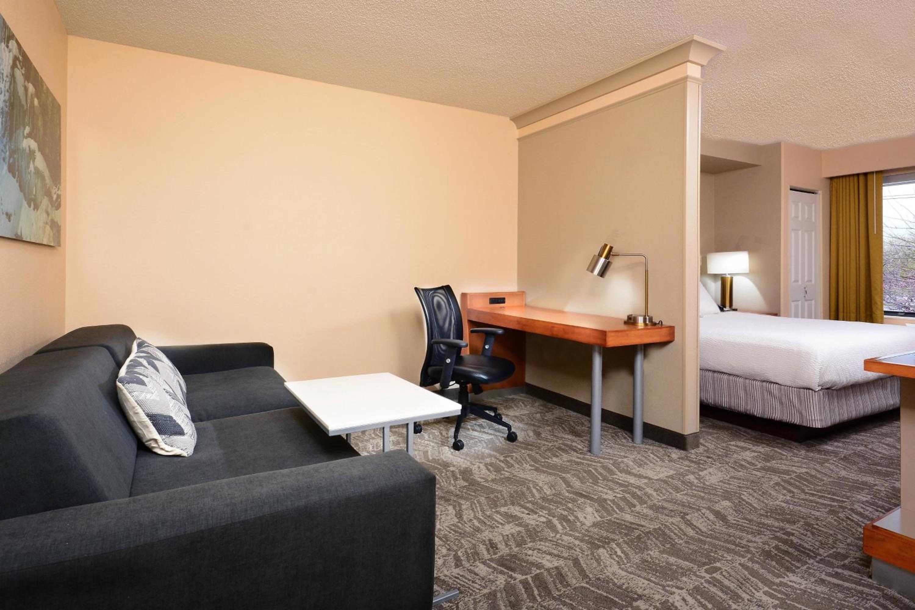 King Studio with Sofa Bed