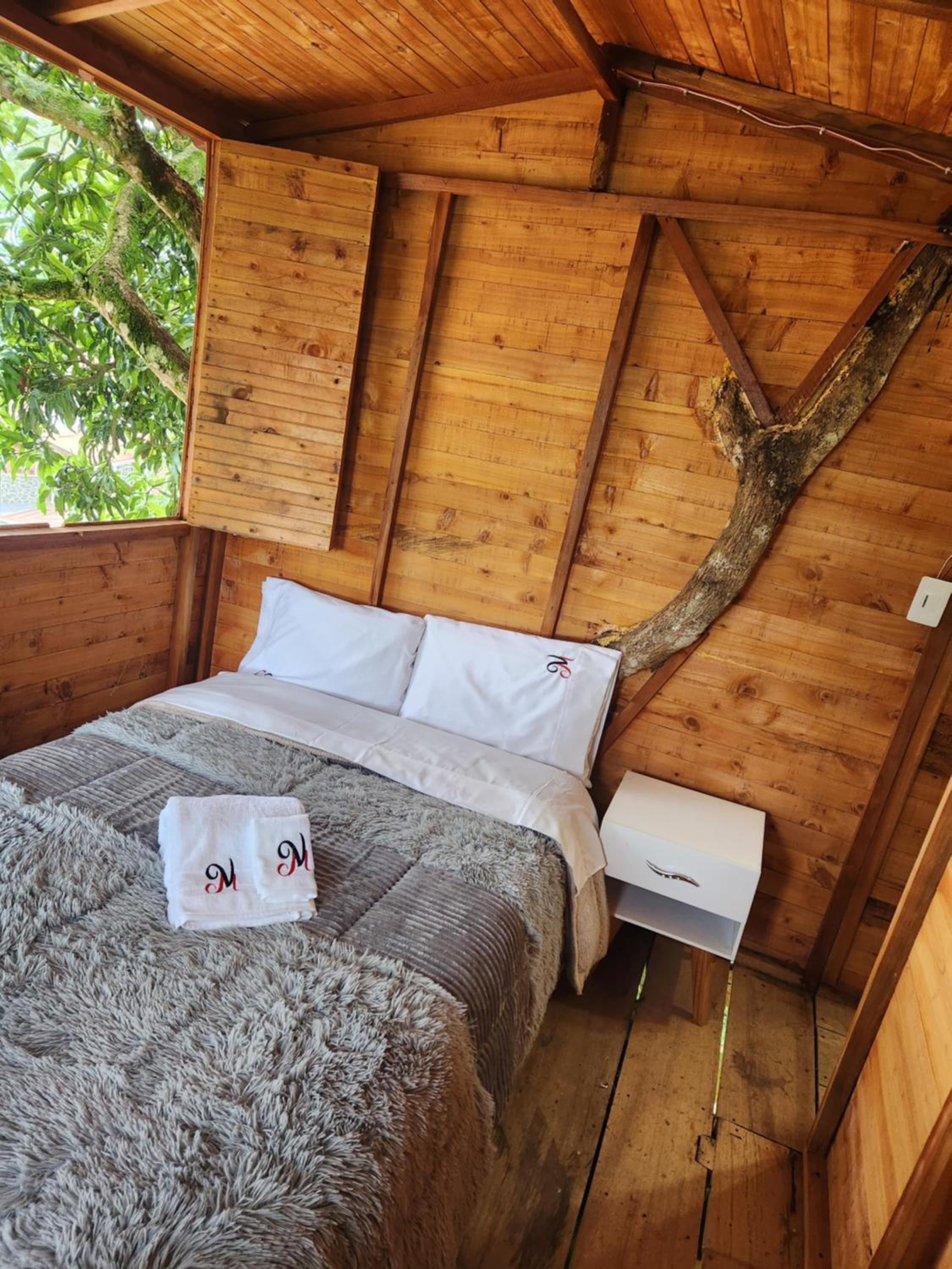 Double Room with Pool View photo 3