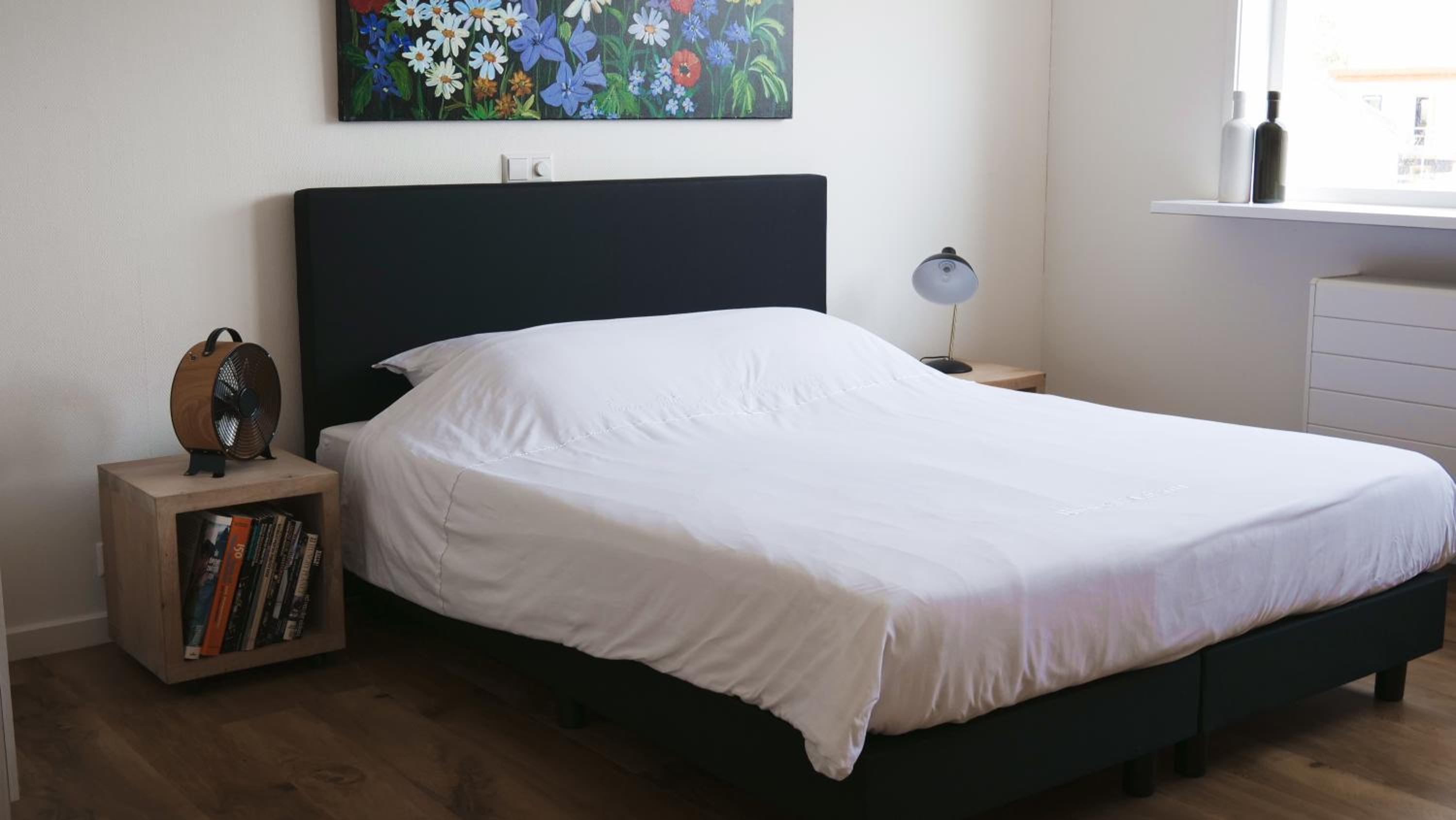 Budget Single Room photo 1