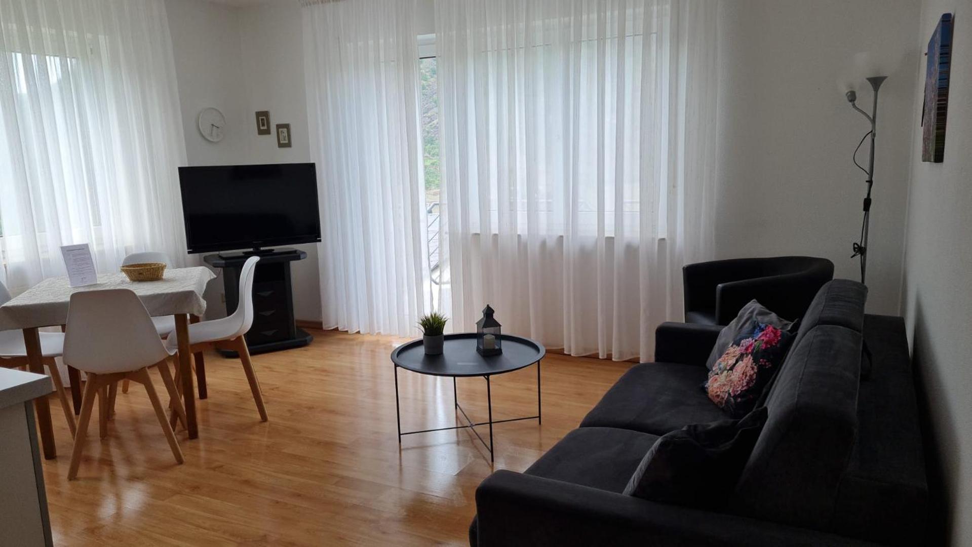 Large One-Bedroom Apartment photo 1