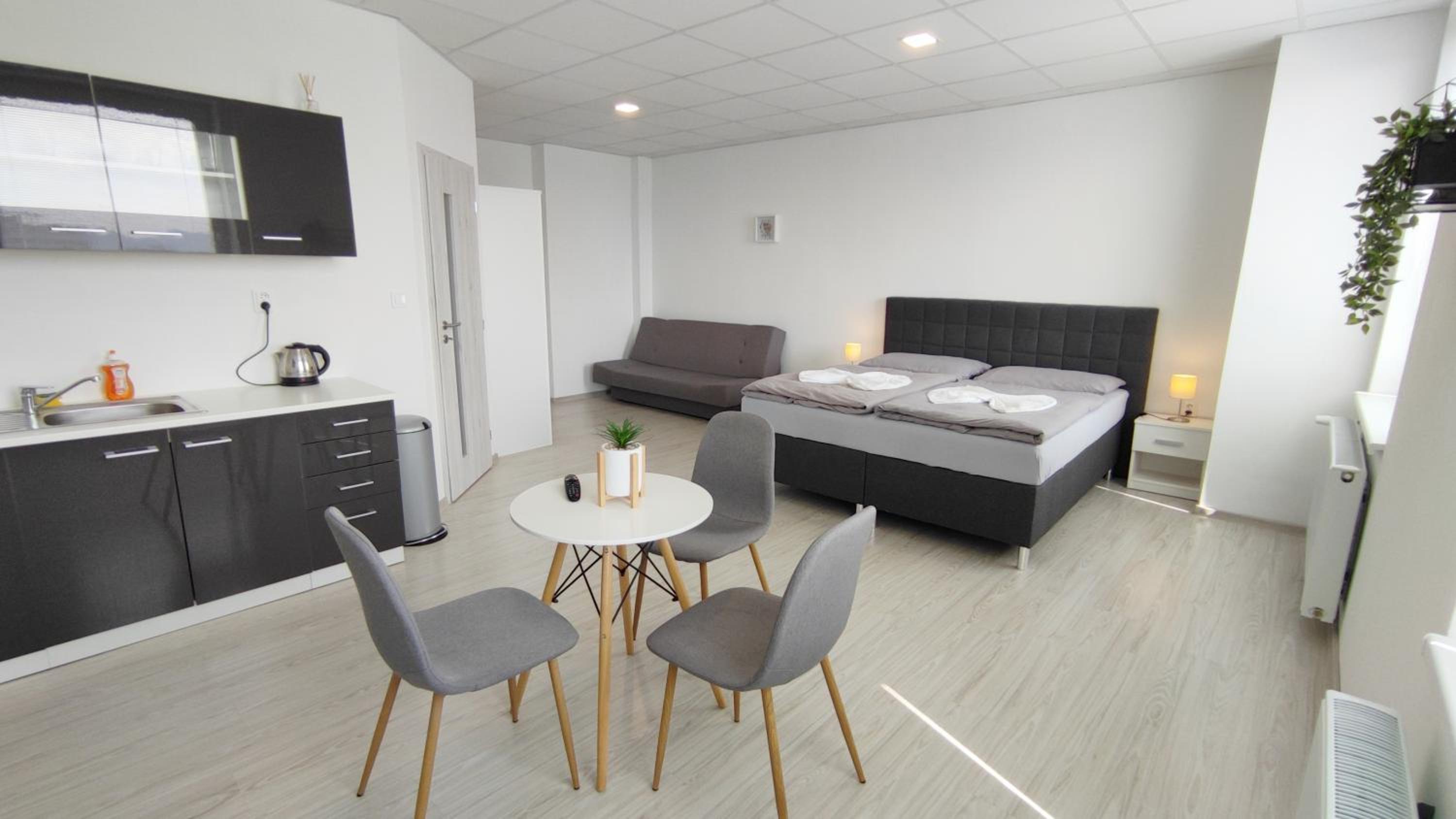 Deluxe Apartment