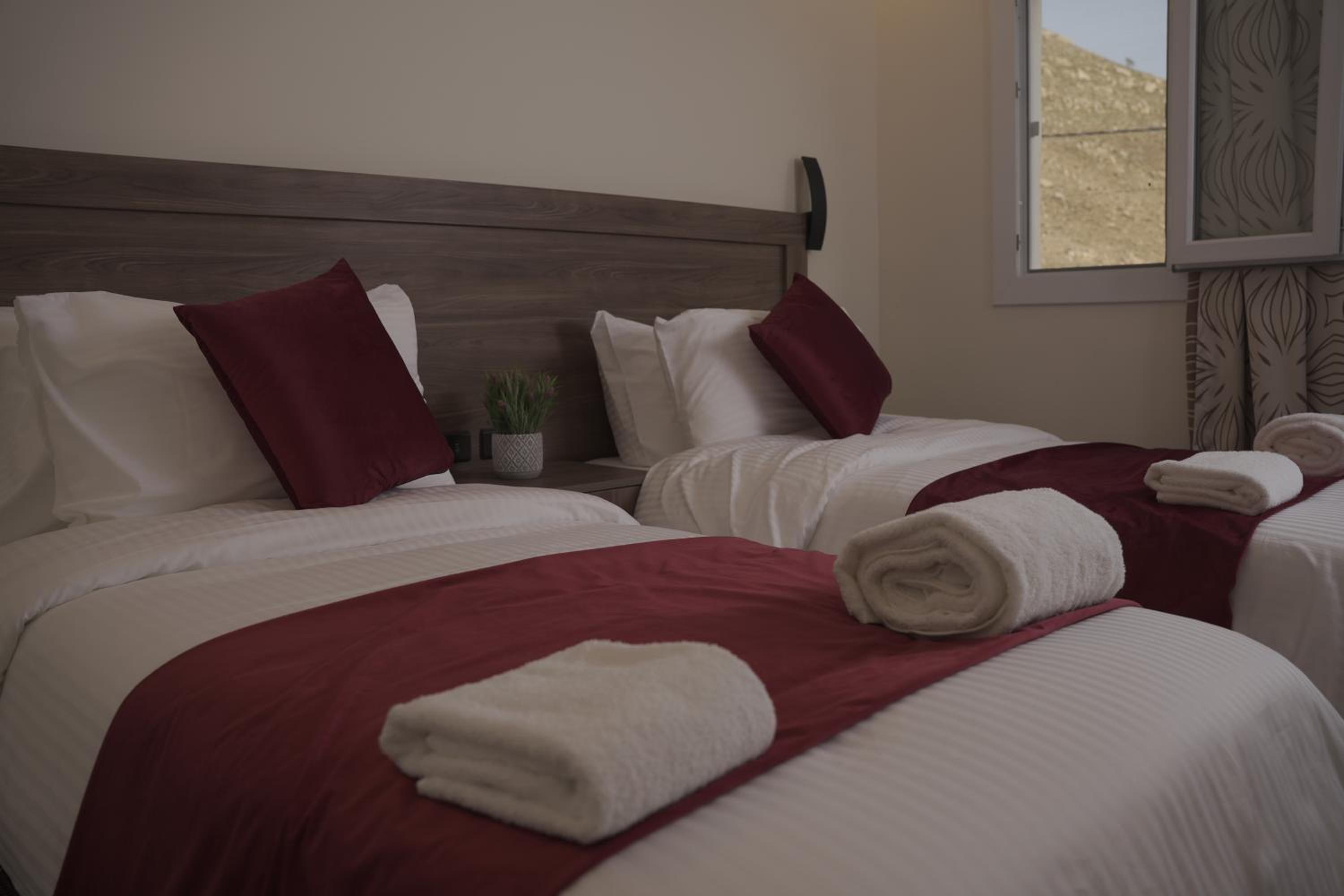 Standard Twin Room photo 1