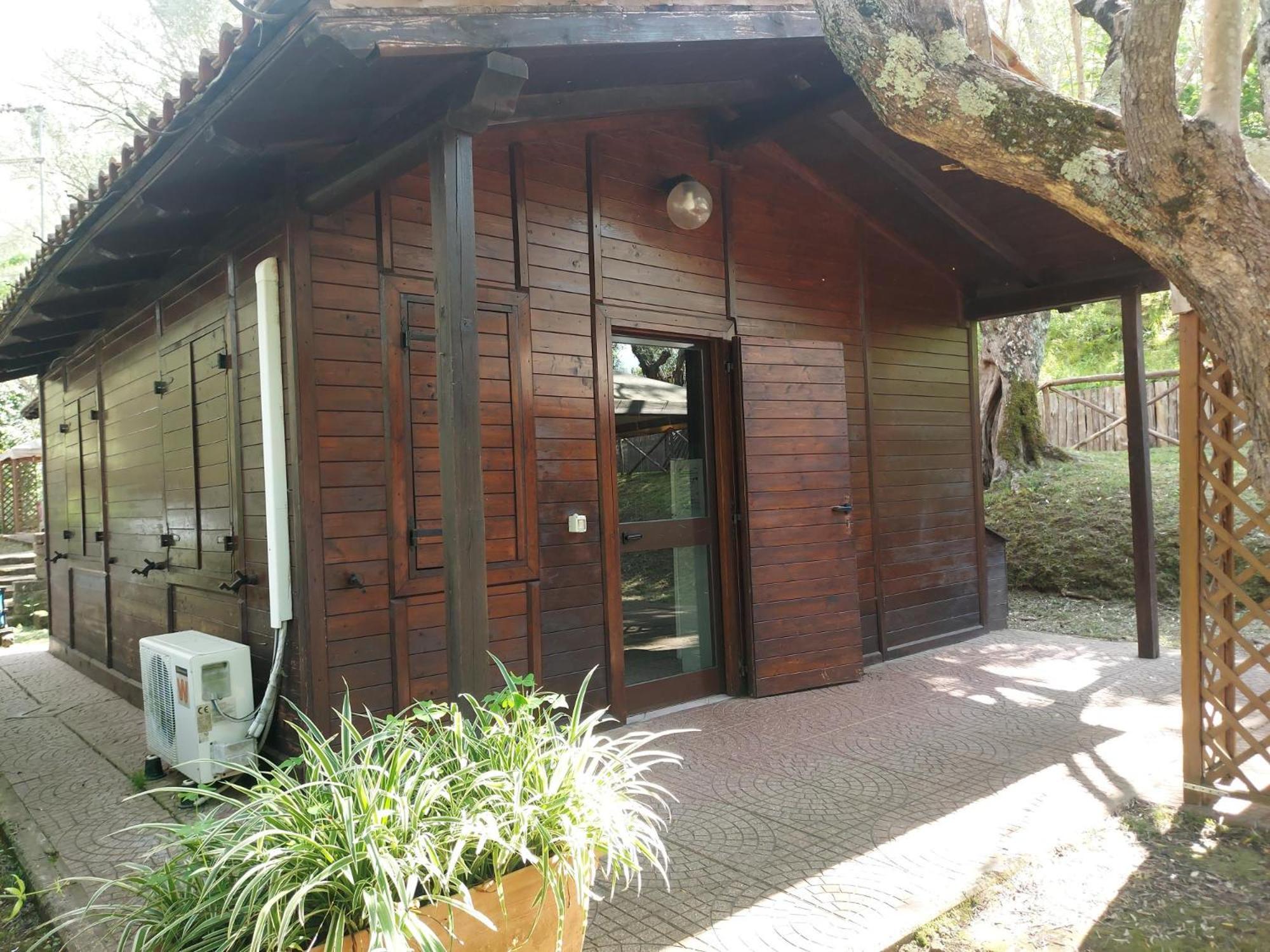 Chalet photo 2