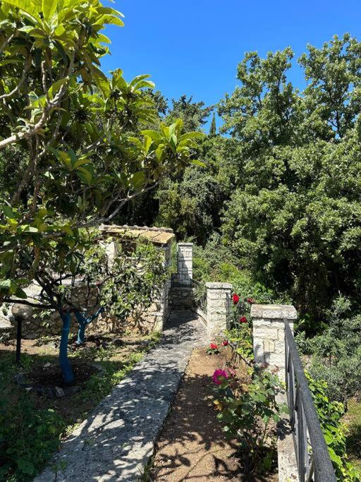 Villa photo 3