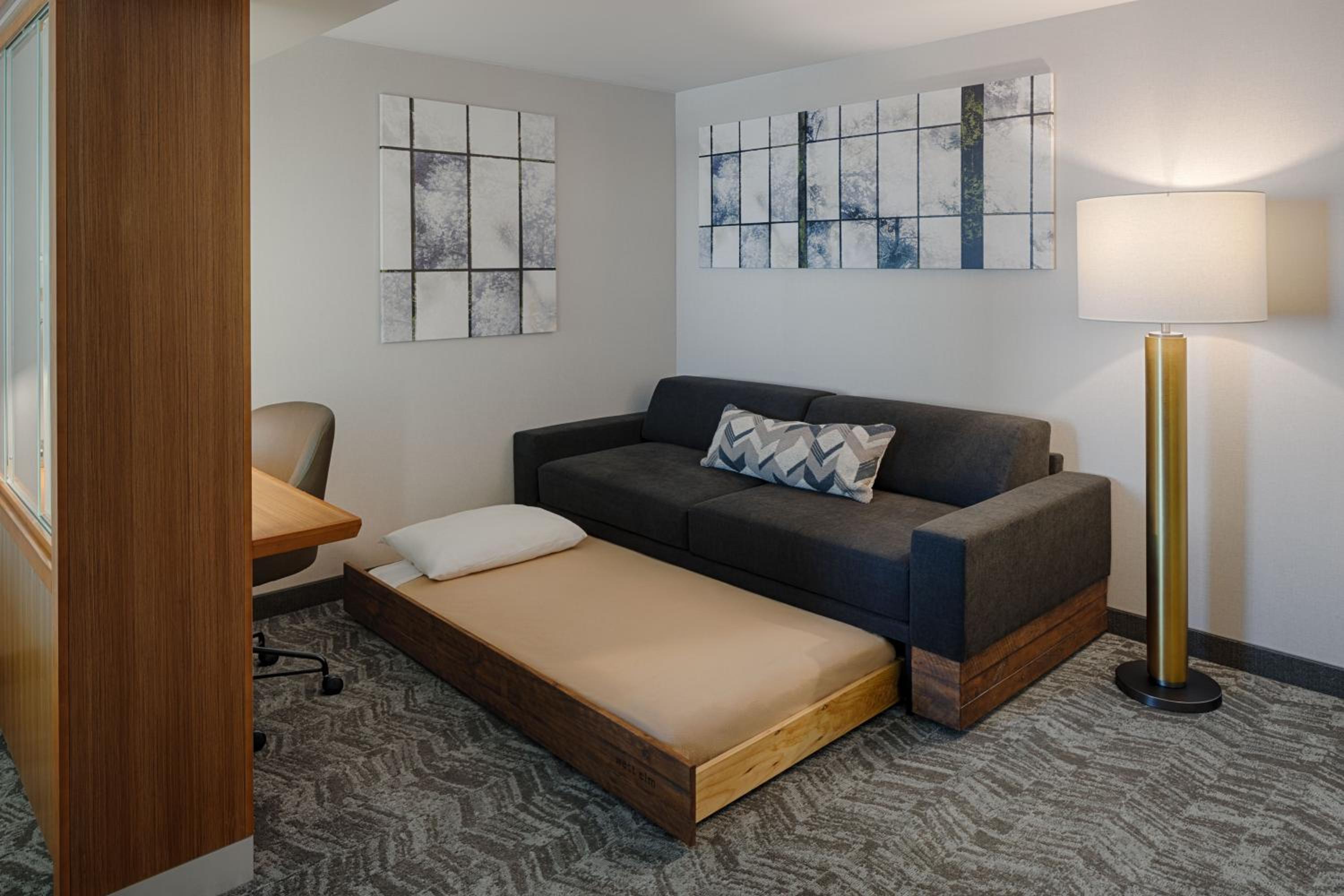 King Studio with Sofa Bed - Mobility/Hearing Accessible w/Tub photo 3