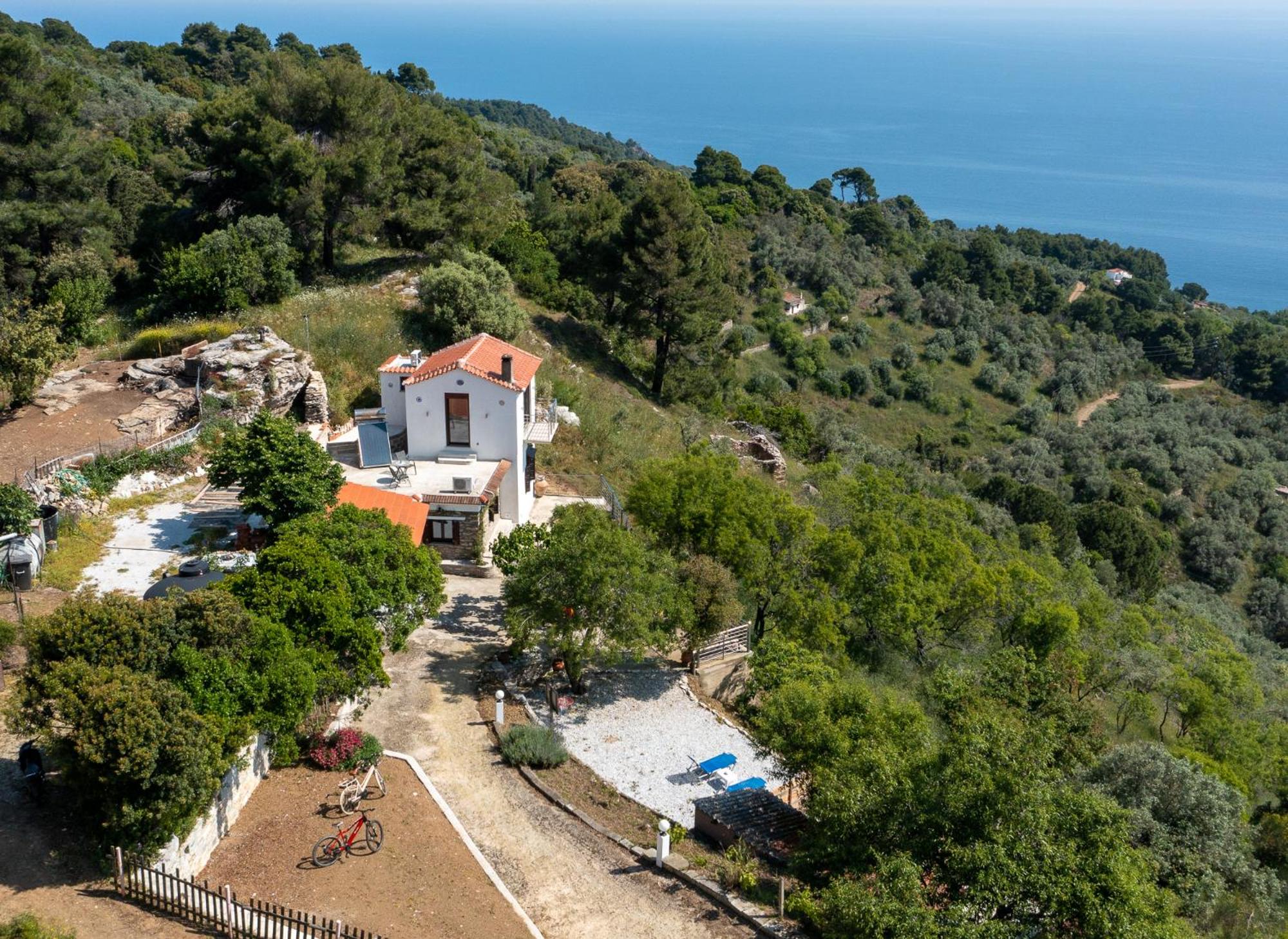 Villa with Sea View photo 3