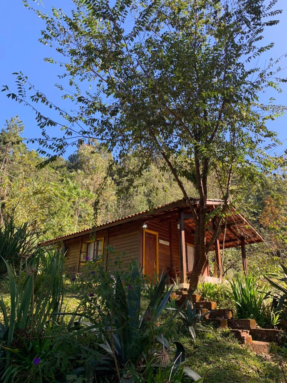 Two-Bedroom Chalet photo 3