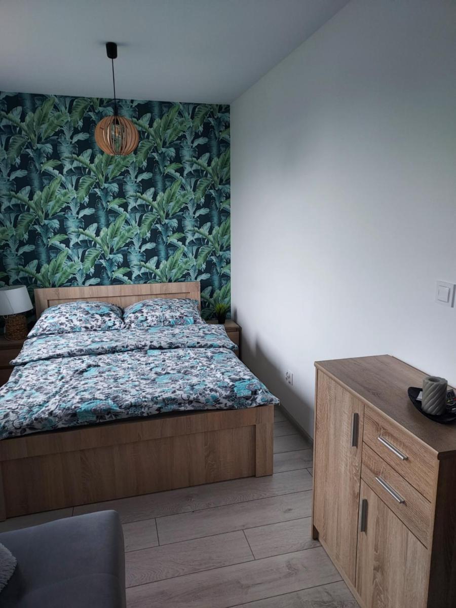Studio with Sofa Bed