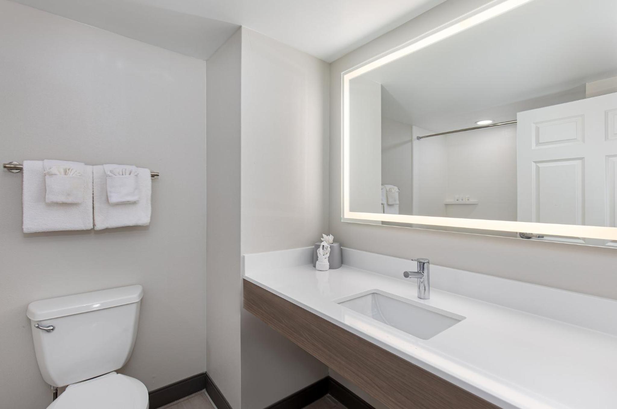 King Suite with Bath Tub - Disability Accessible - Photo 5