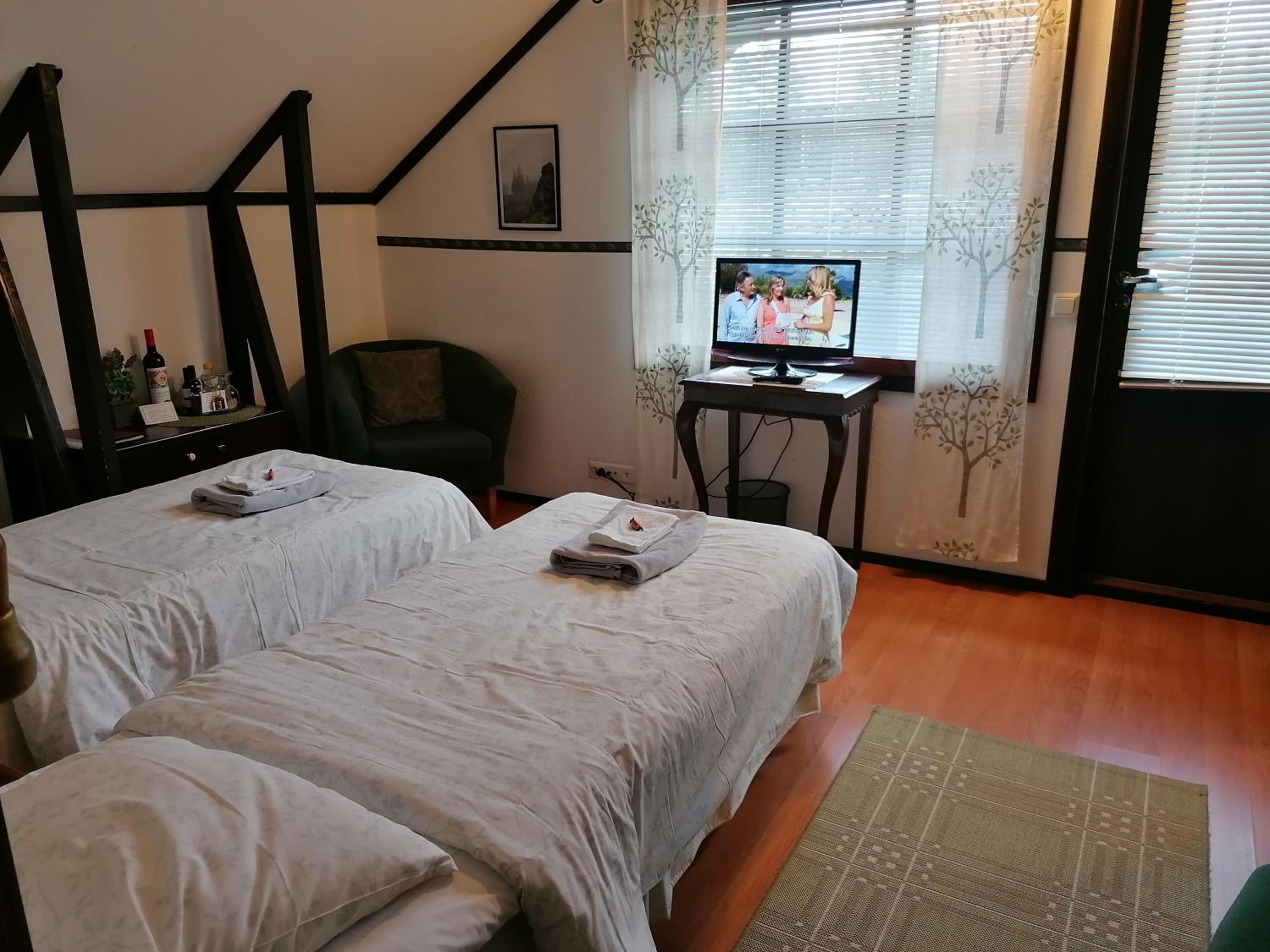 Double or Twin Room with Balcony photo 2