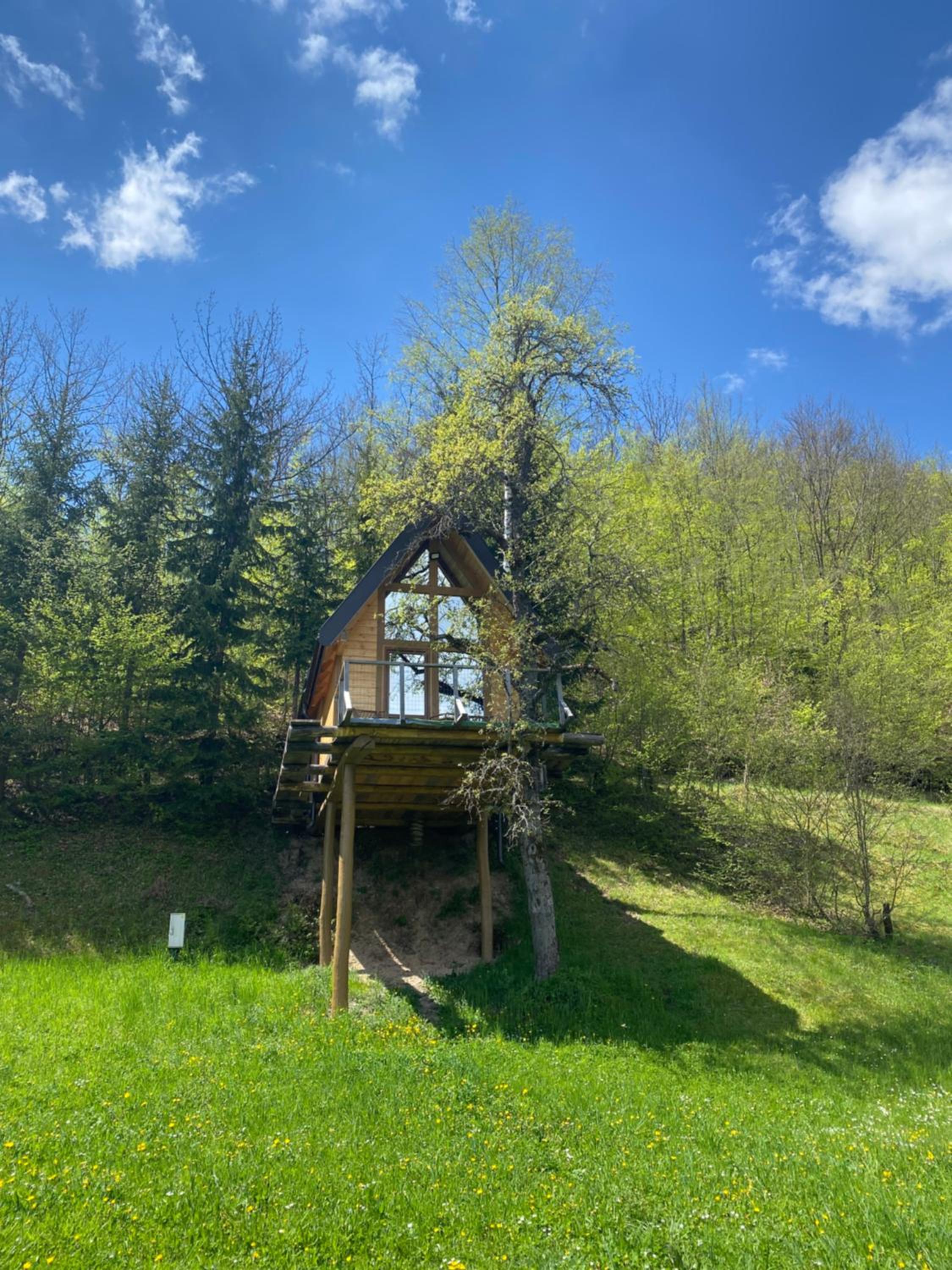 One-Bedroom Chalet photo 2
