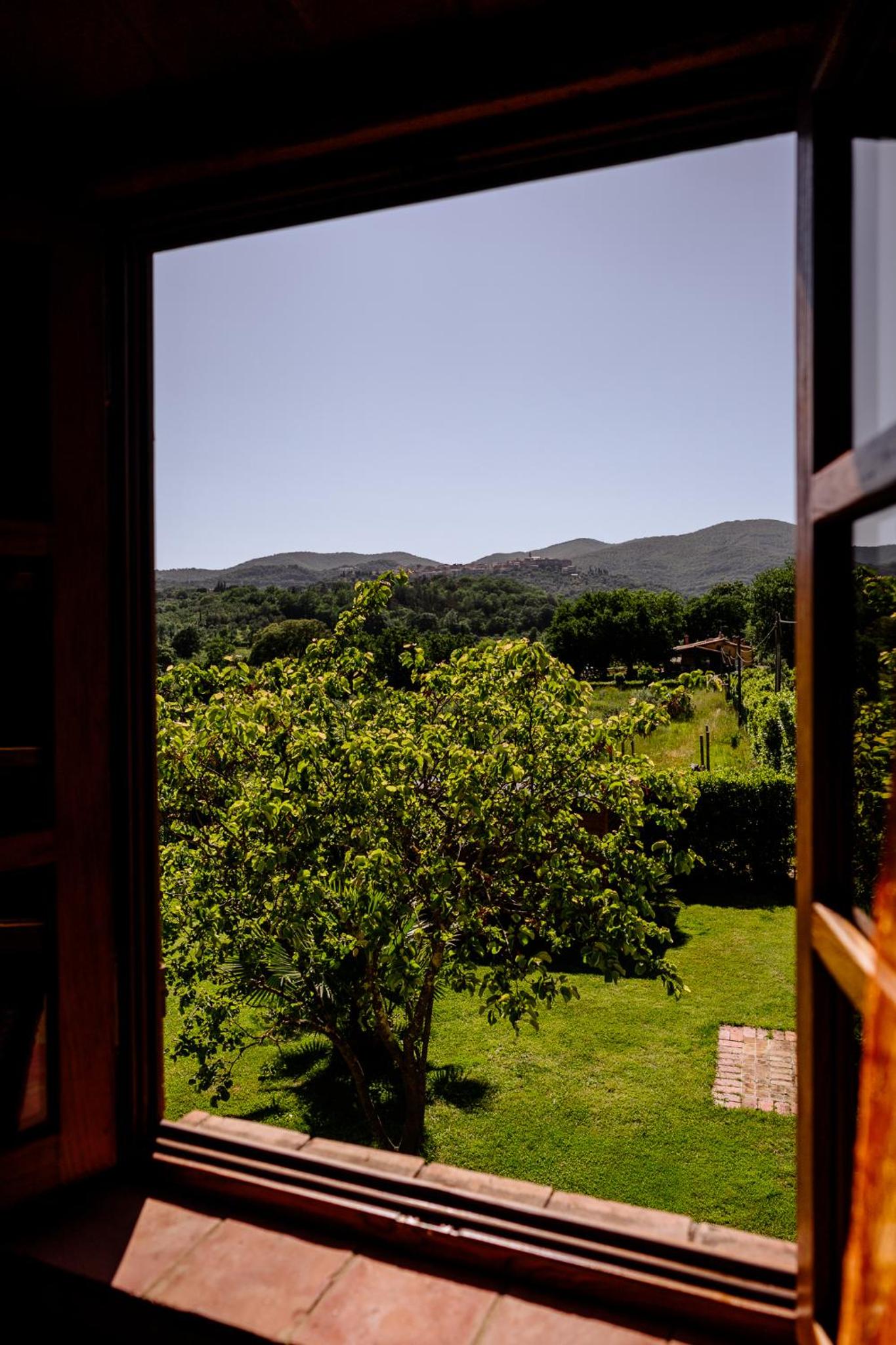 Two-Bedroom Villa photo 2