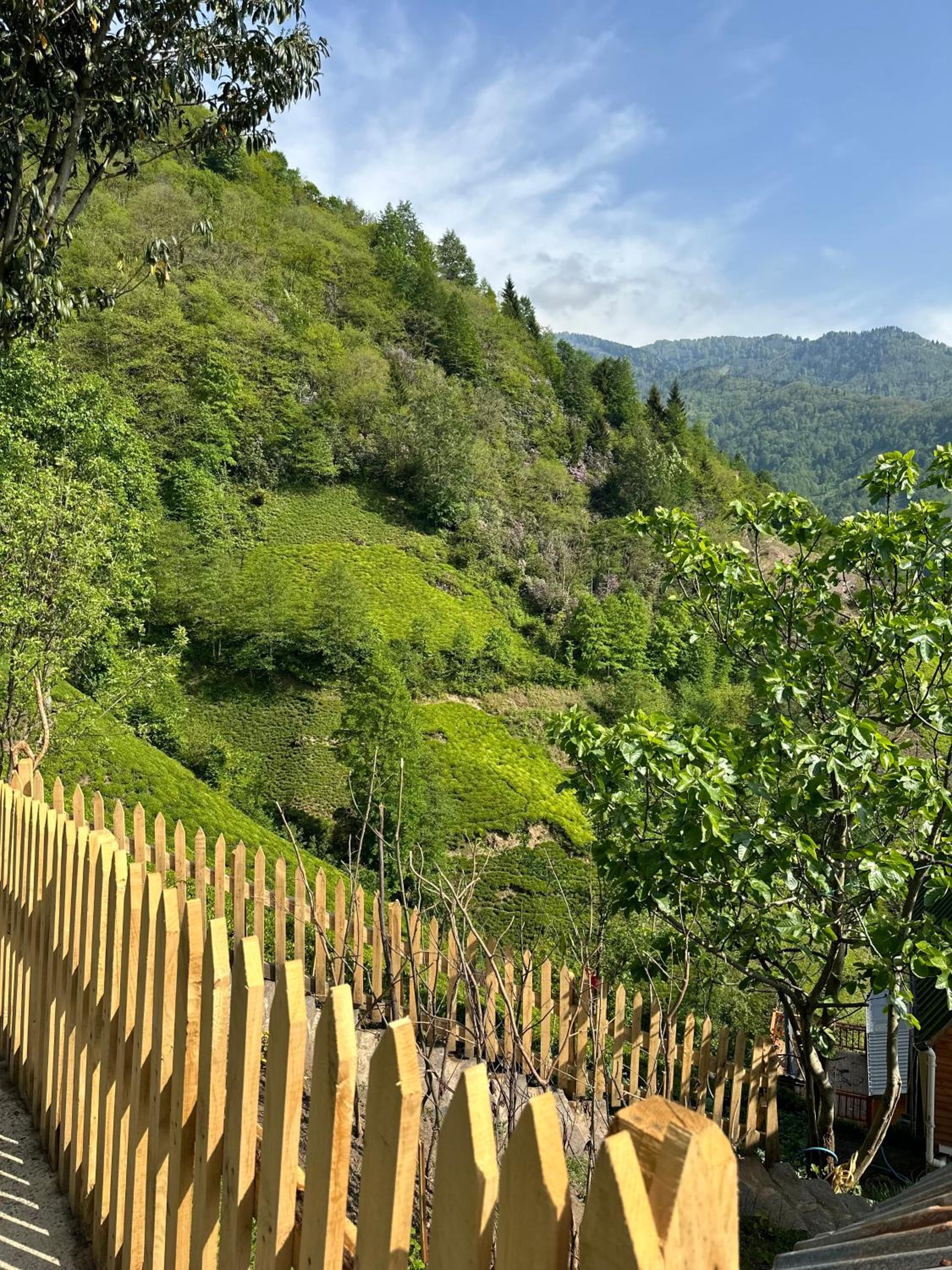 Deluxe Bungalow with Garden View - Photo 20