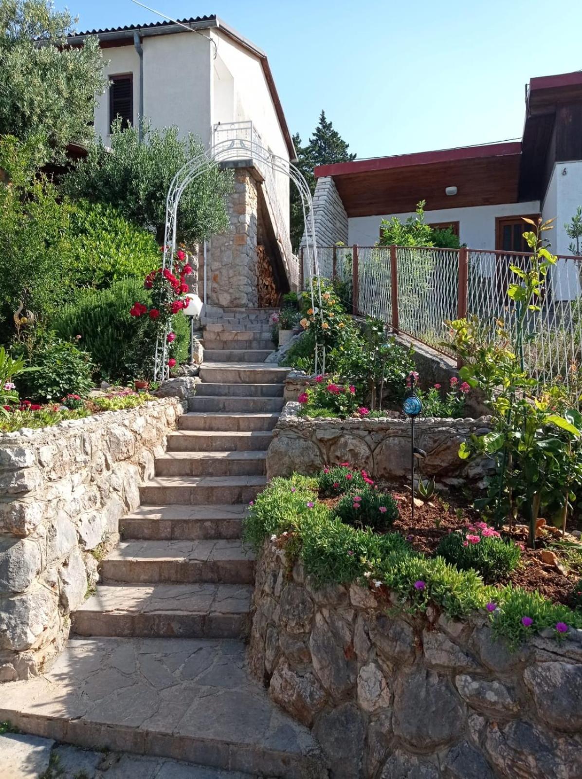 Two-Bedroom Apartment photo 2