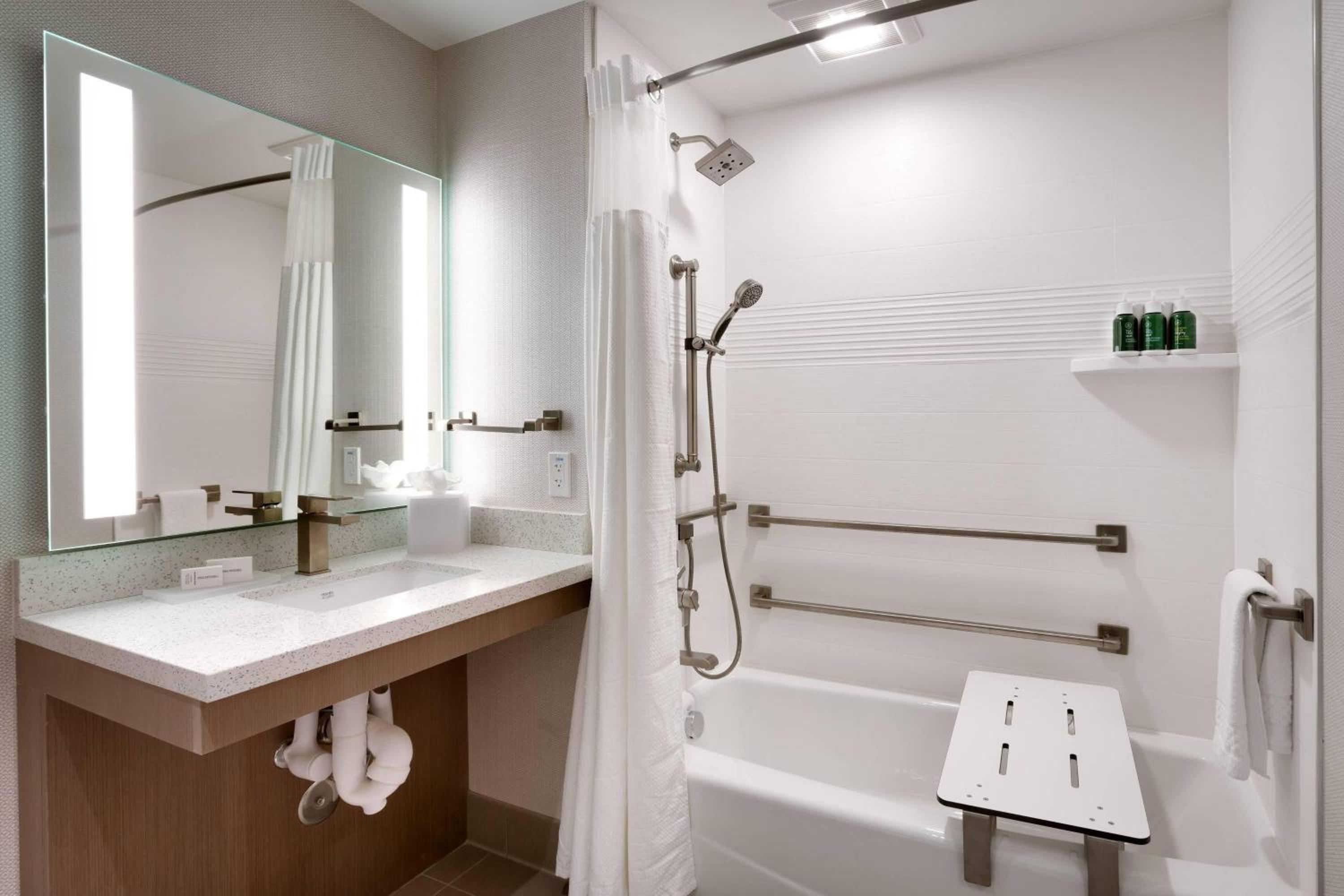 Queen Studio with Sofa Bed - Mobility Accessible with Roll-In Shower photo 3