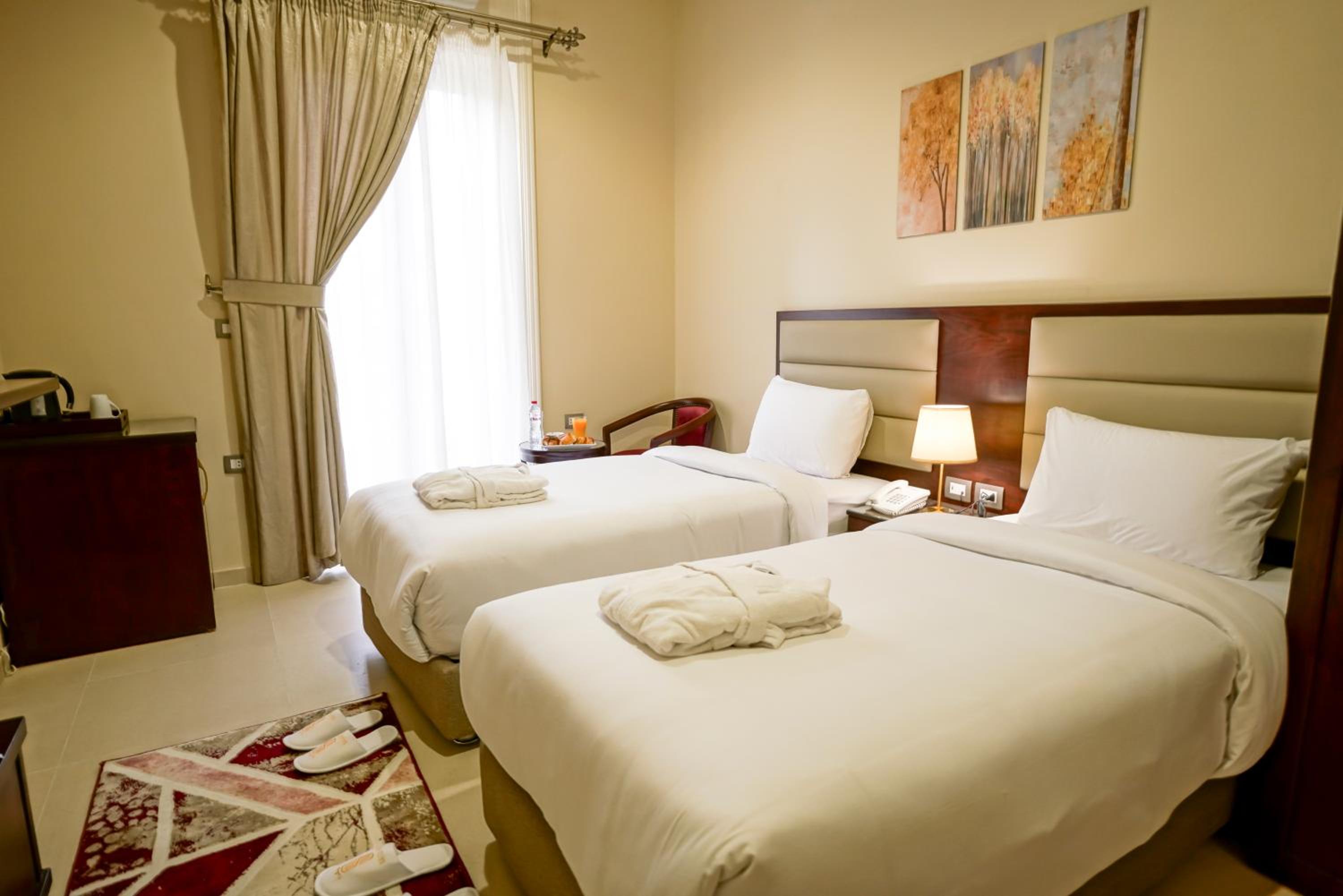 Deluxe Double or Twin Room with City View photo 3