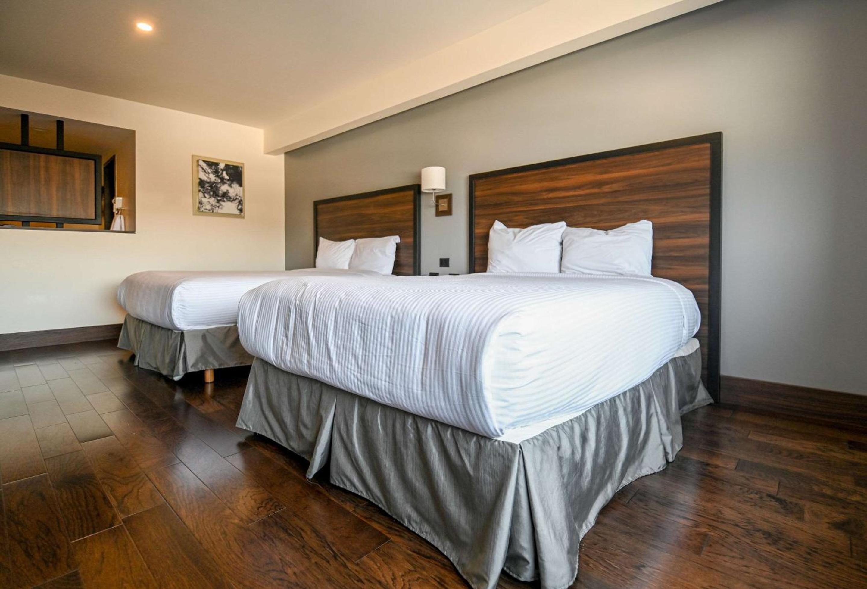 Standard Double Room with Two Double Beds - Non-Smoking - Photo 1