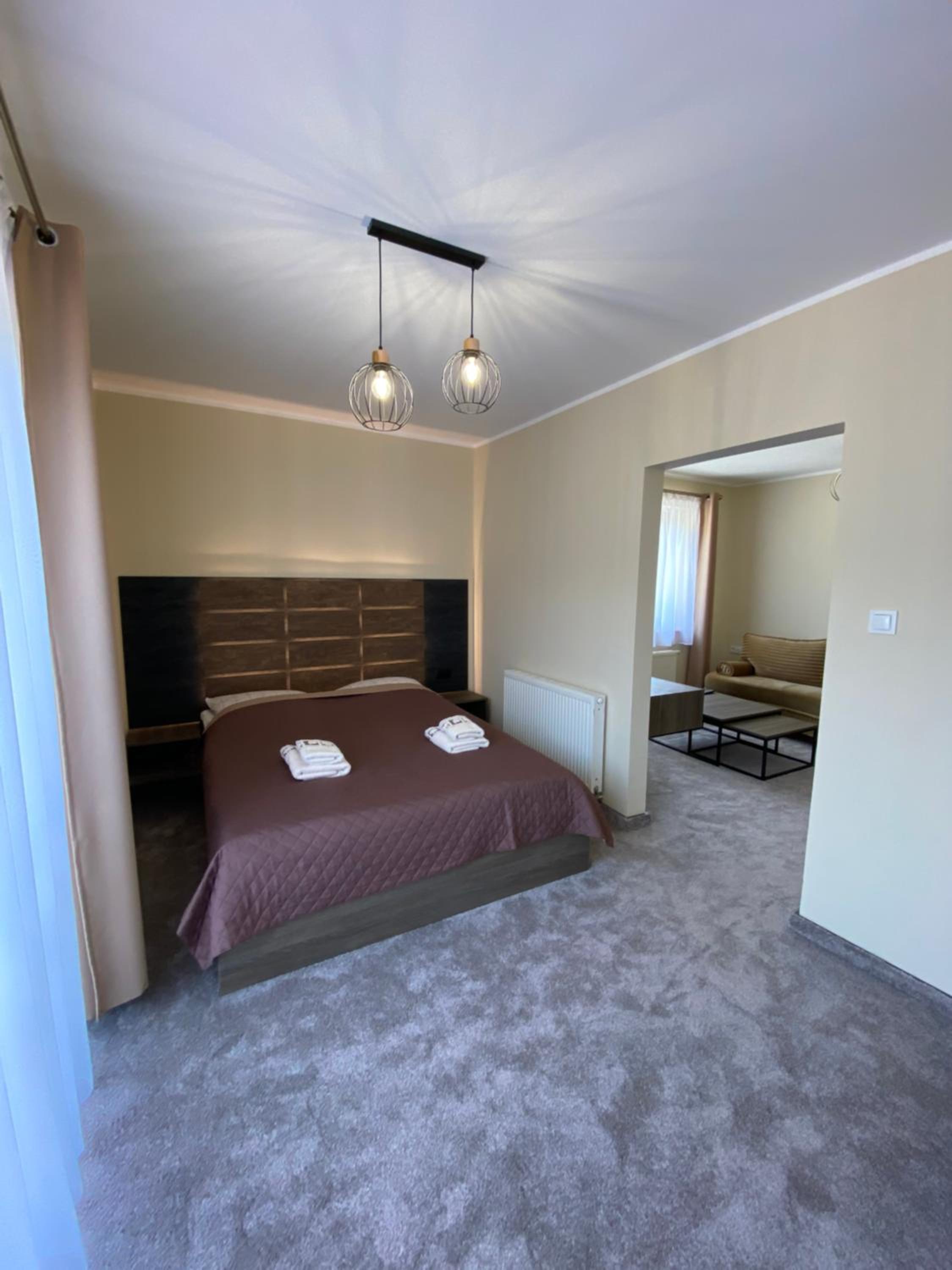 Deluxe Apartment photo 3