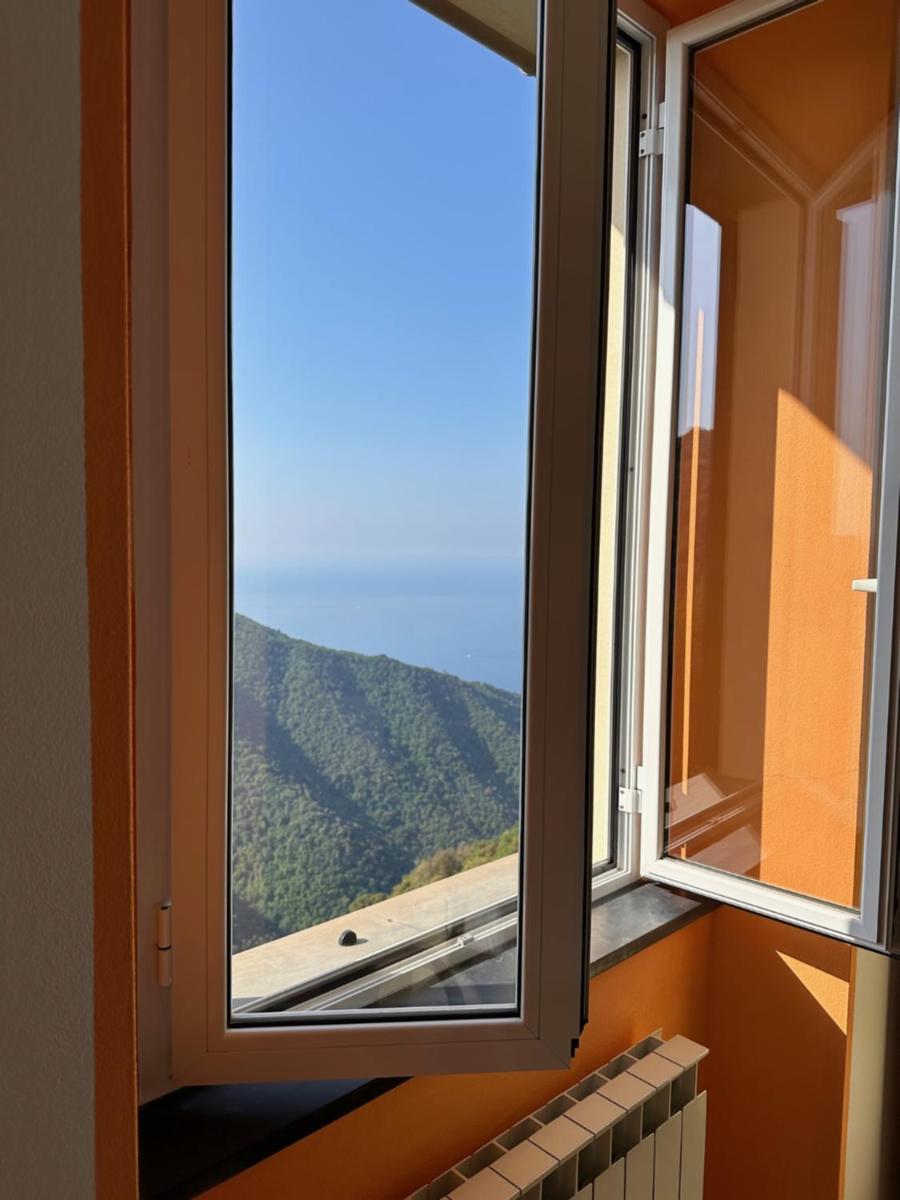Double or Twin Room photo 3