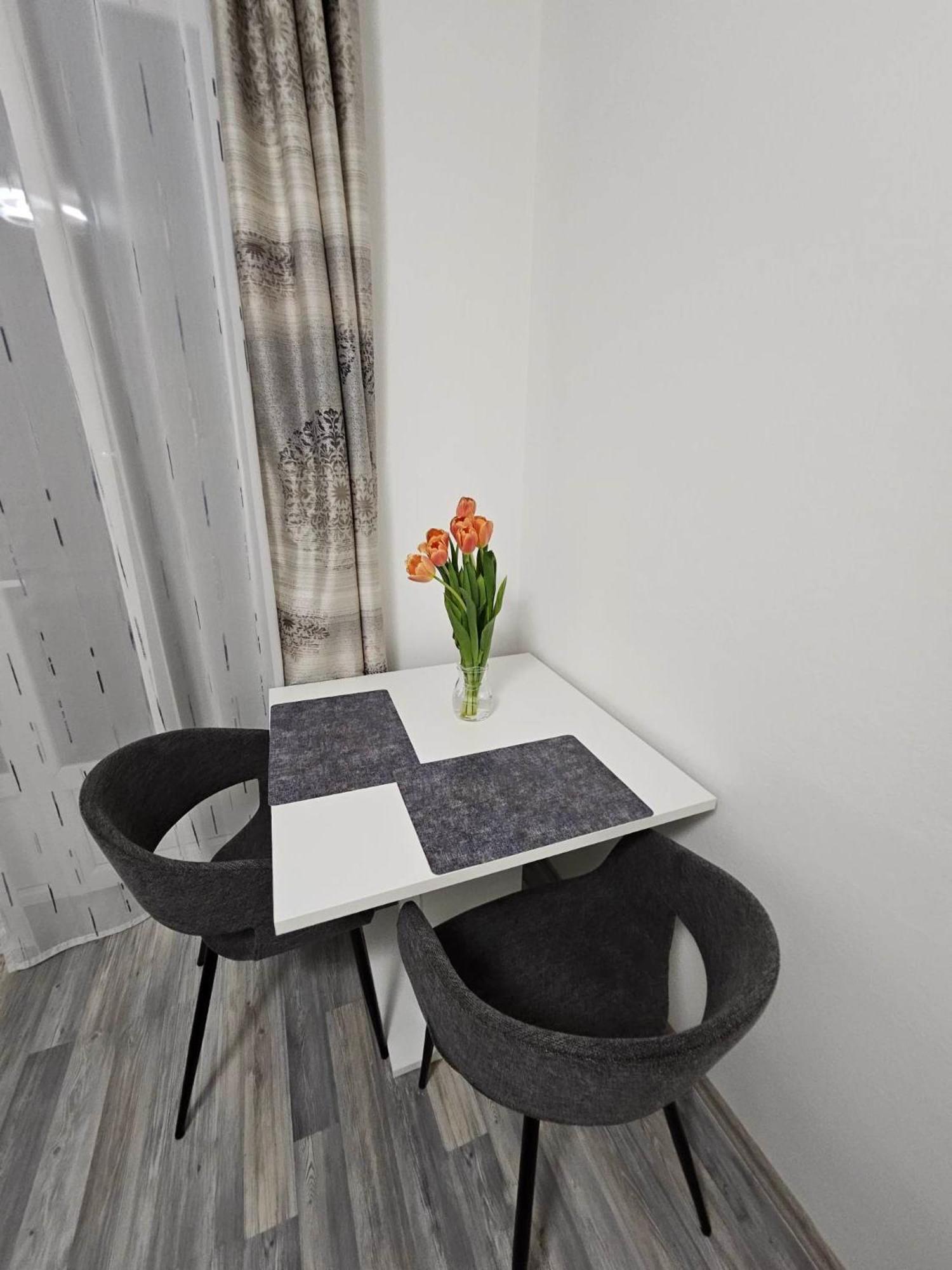 One-Bedroom Apartment photo 3