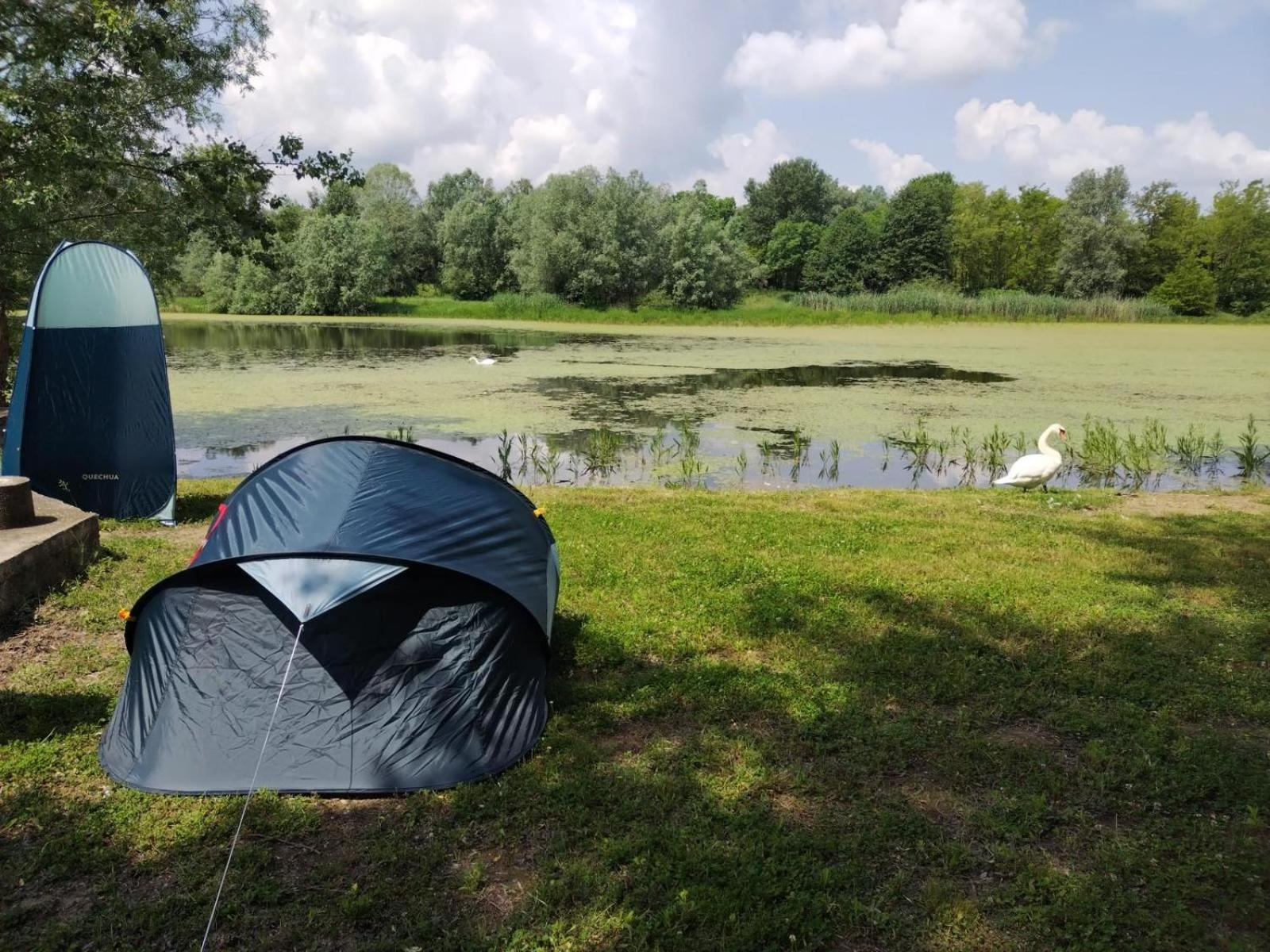 Tent photo 2