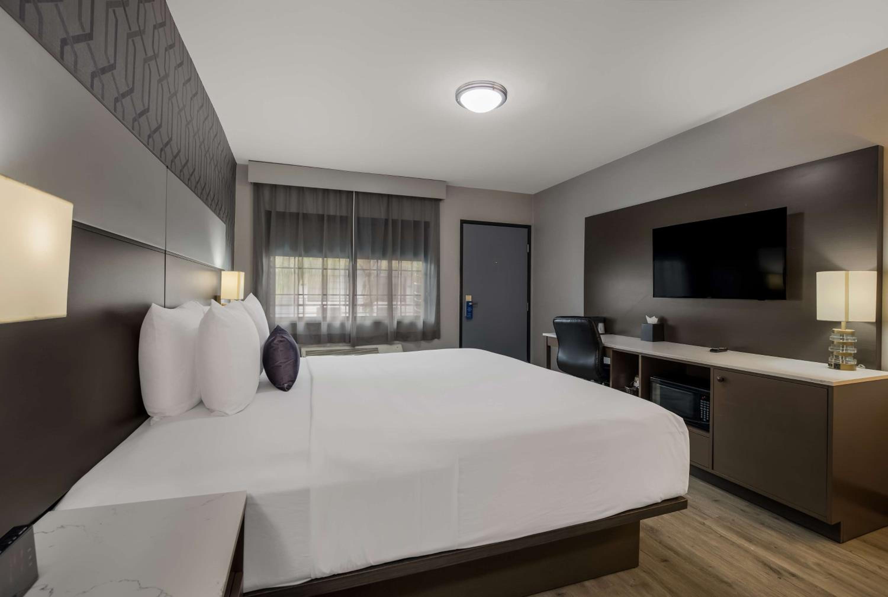 King Room photo 2