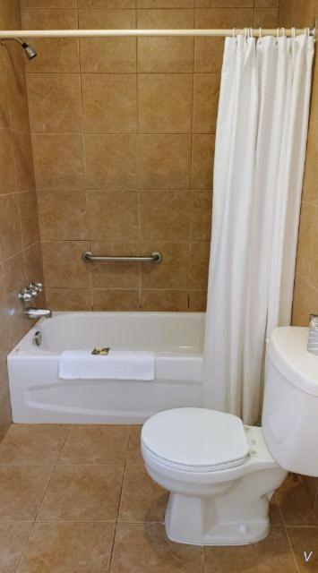 King Room photo 3