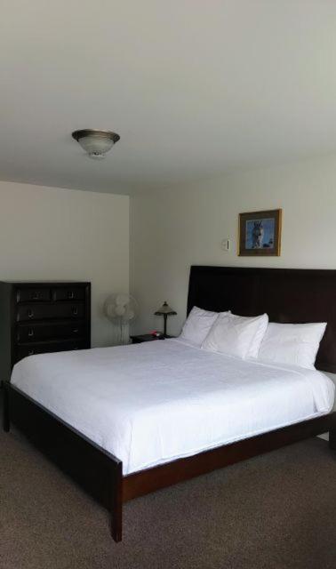 King Room photo 1