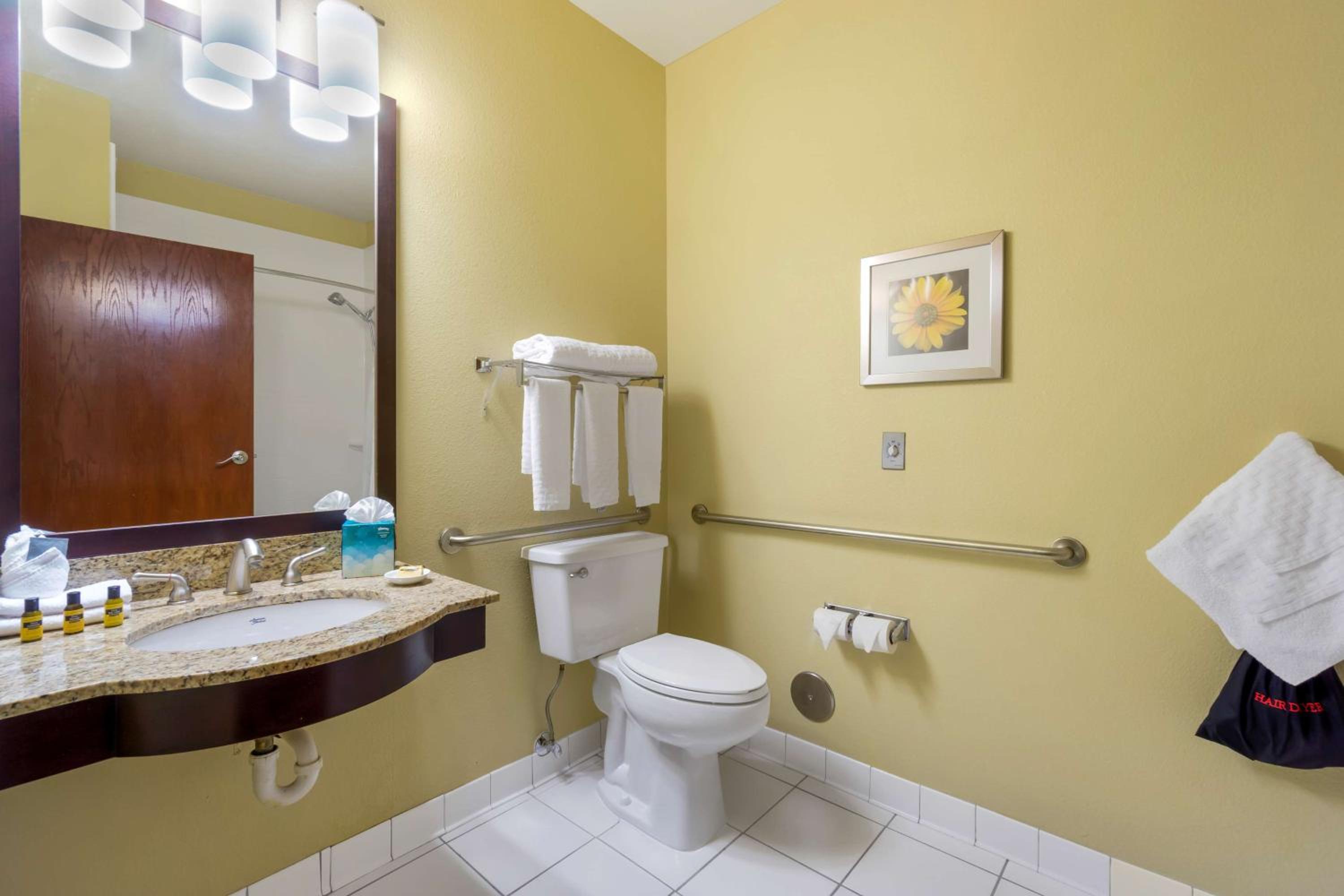 Queen Room with Bath Tub - Disability/Non-Smoking - Photo 5