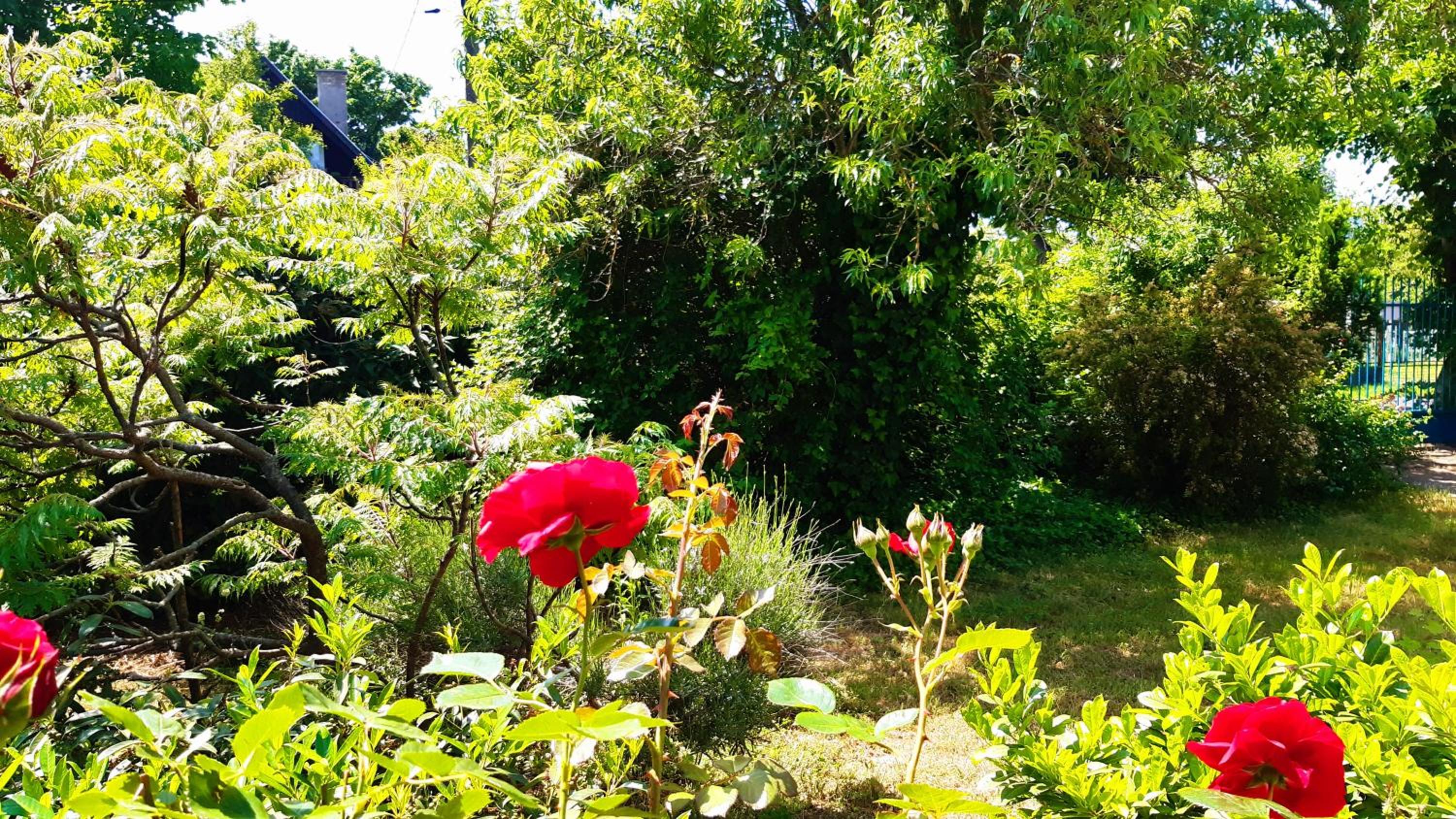 Vacation Home photo 3