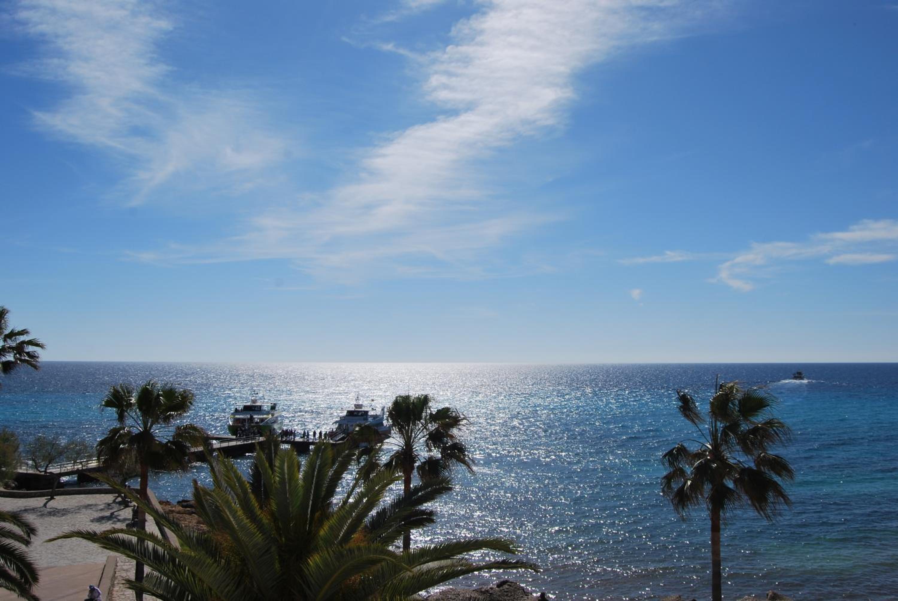 Apartment (4 Adults) - Mallorca photo 3