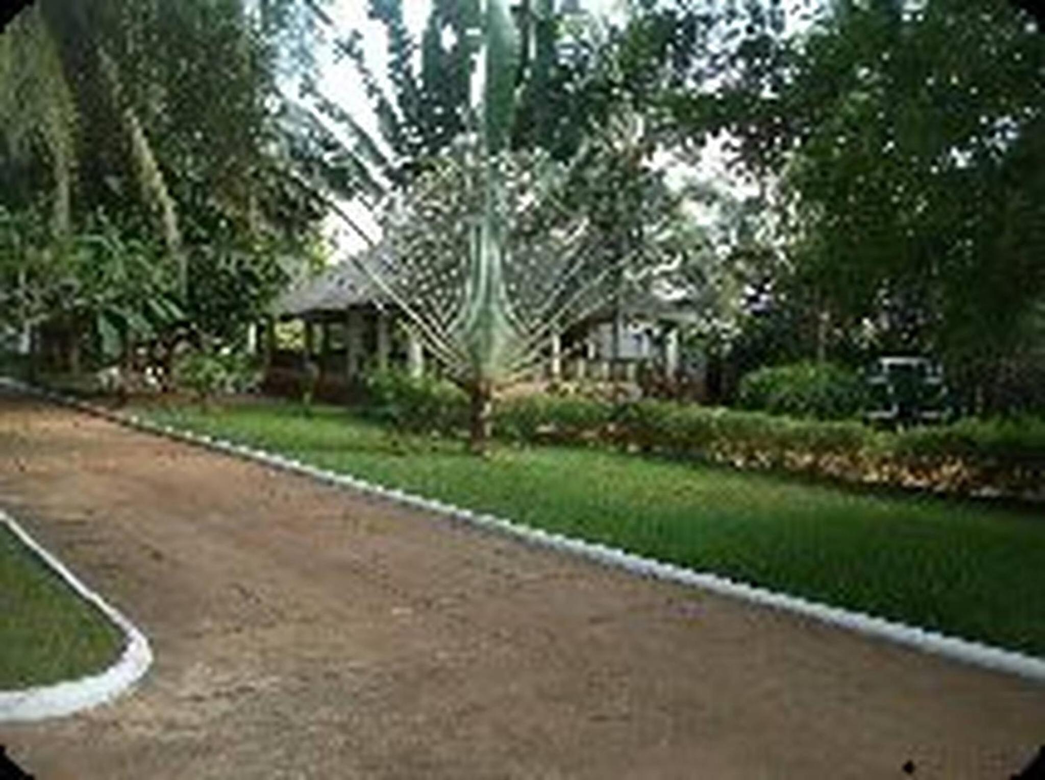 Bungalow photo 2