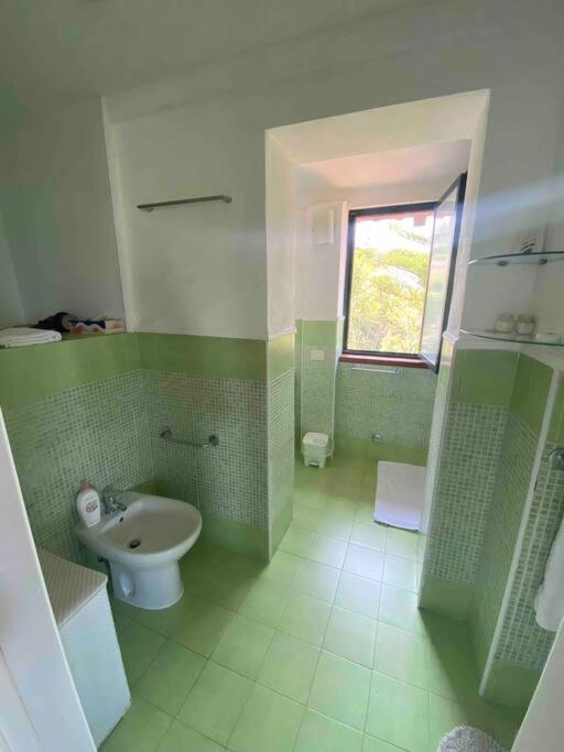 Apartment - Photo 11