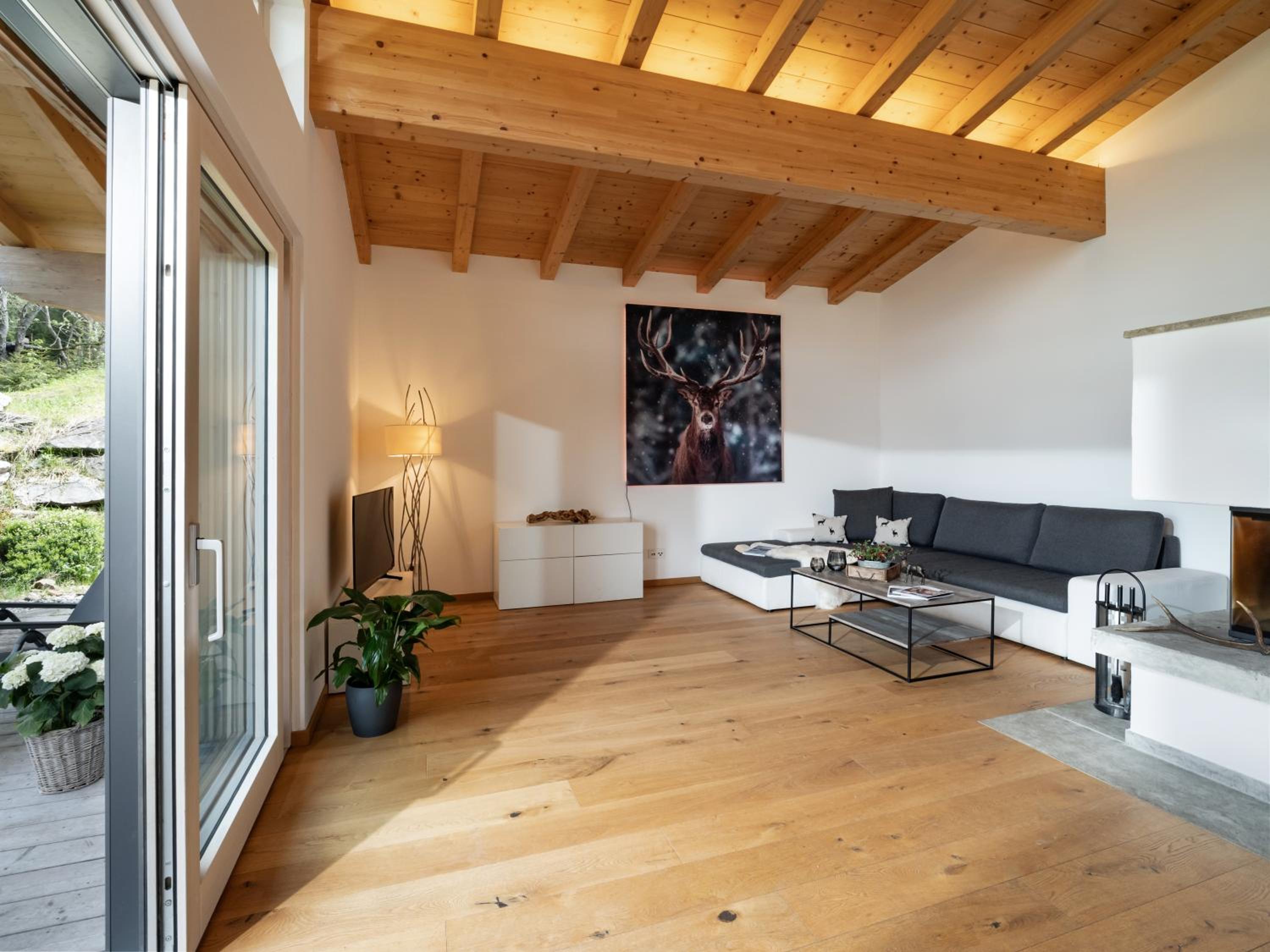Apartment with Terrace photo 1