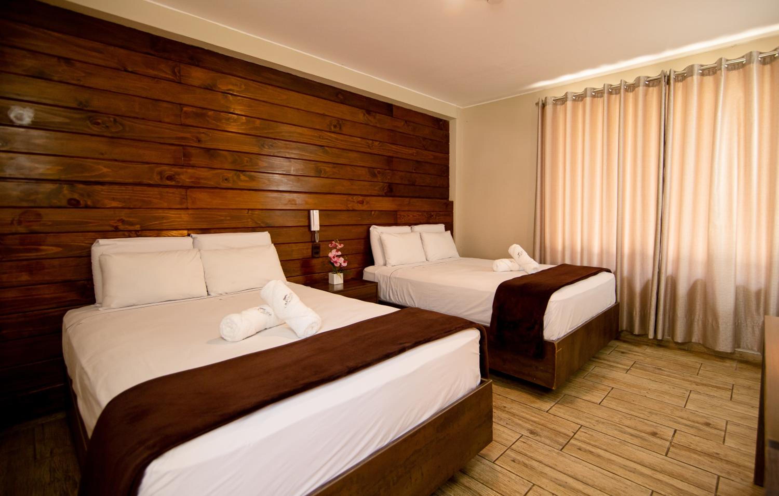 Twin Room photo 2