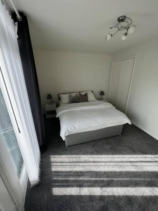 One-Bedroom Apartment photo 3