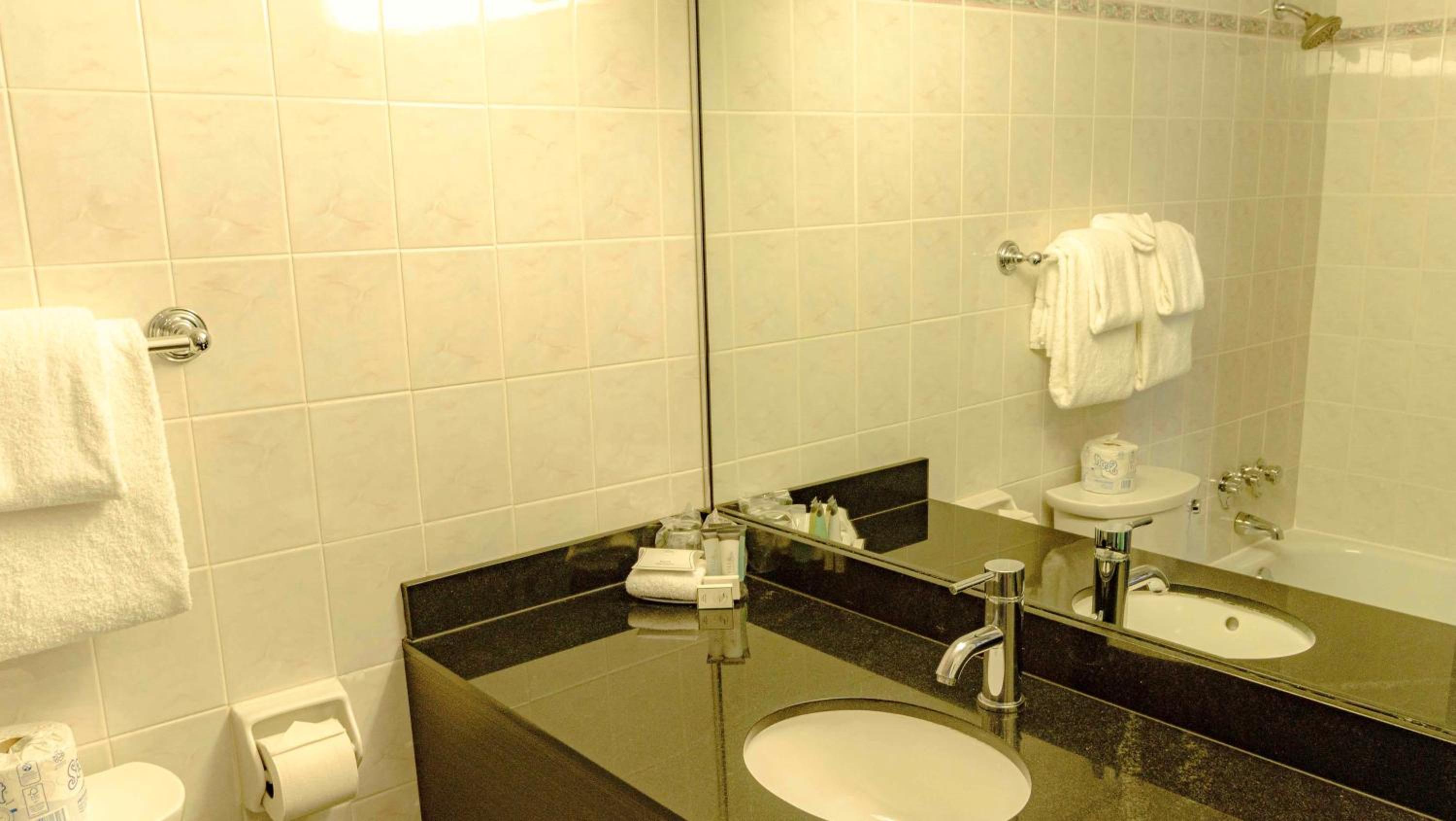 One-Bedroom Suite - Photo 2