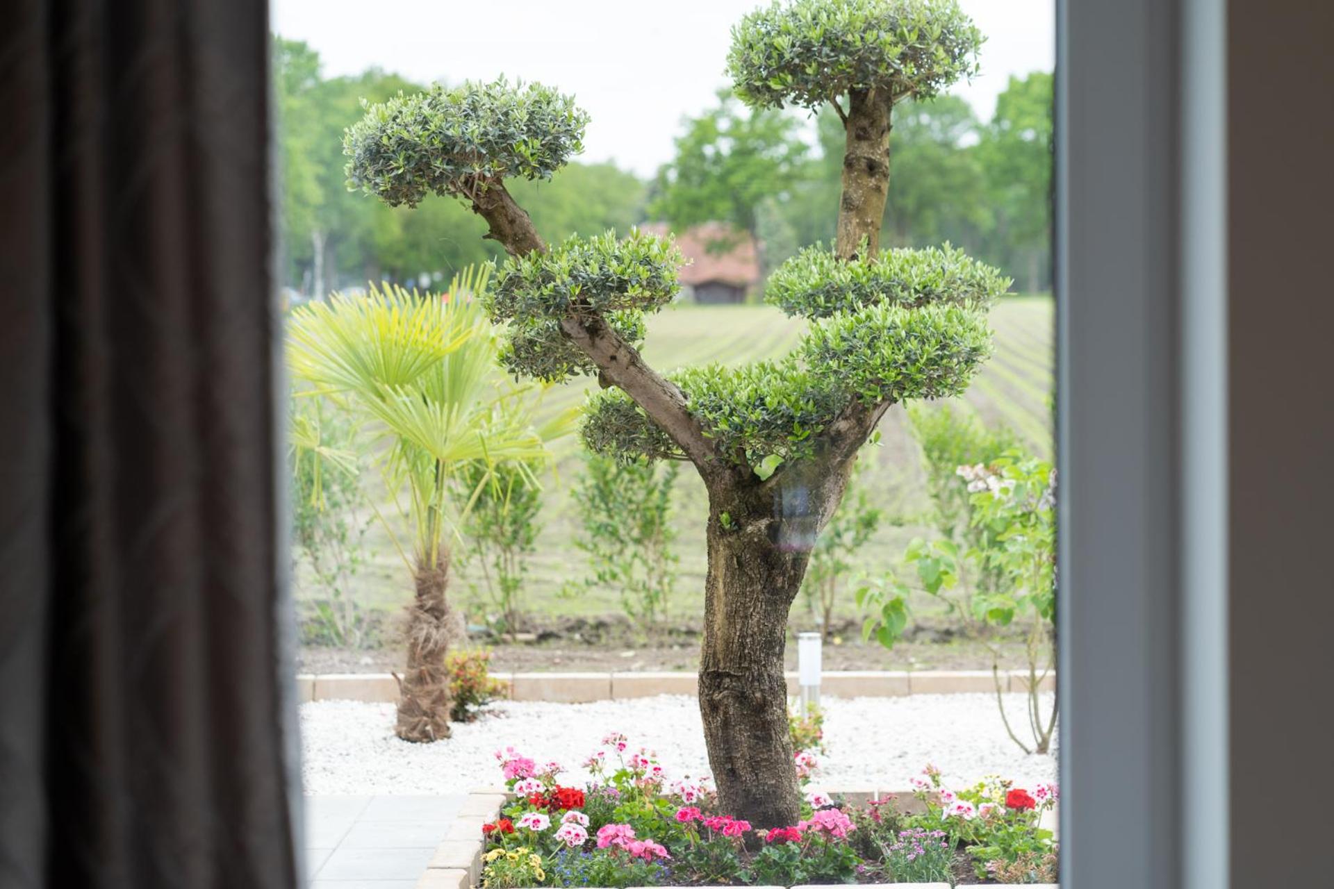 Double Room with Terrace - Photo 16