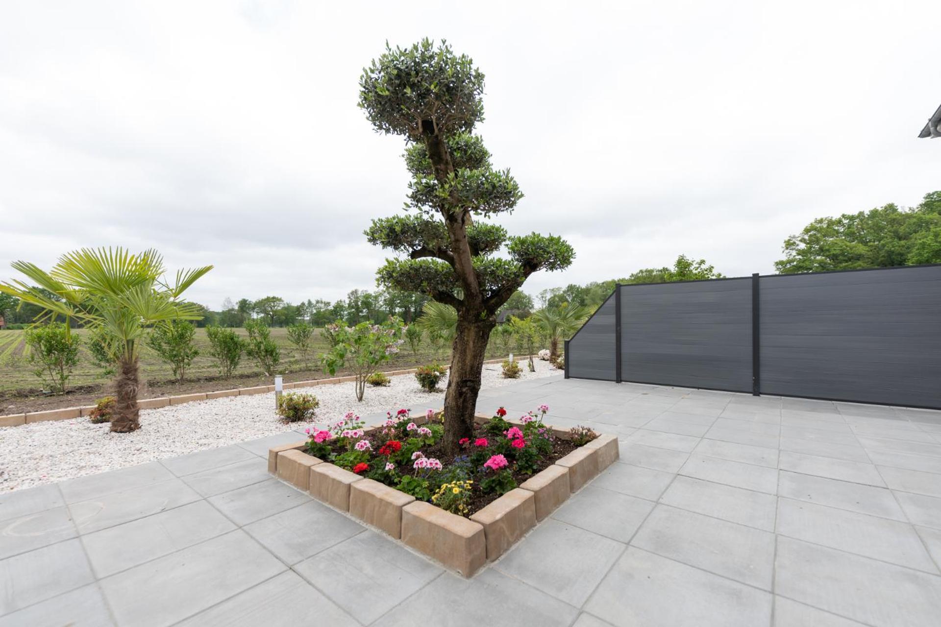 Double Room with Terrace - Photo 7