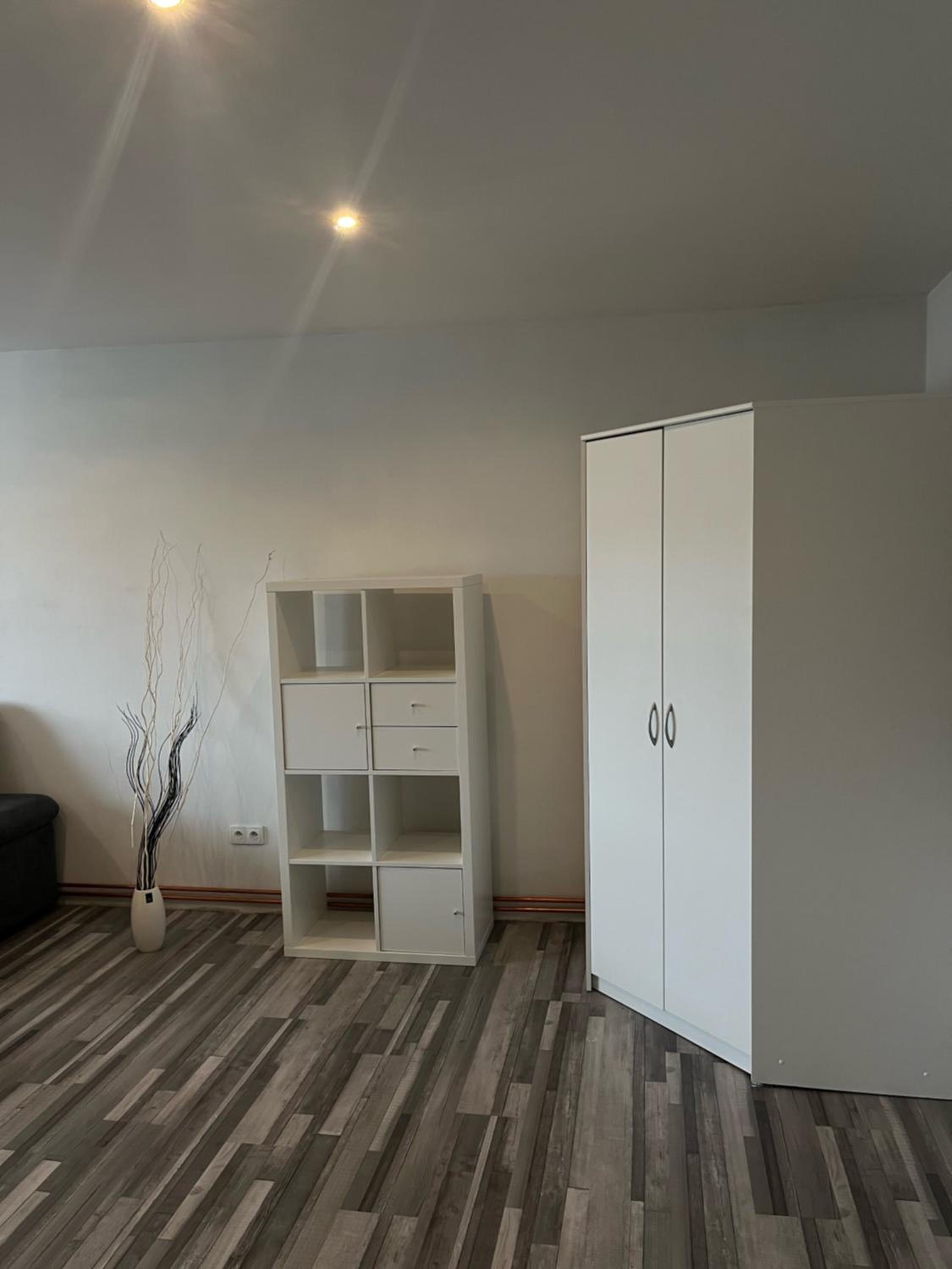 One-Bedroom Apartment photo 3