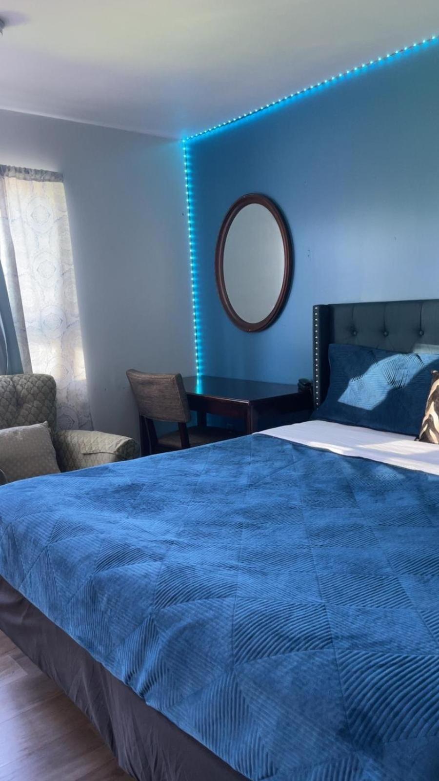 King Room -  Non Smoking photo 1